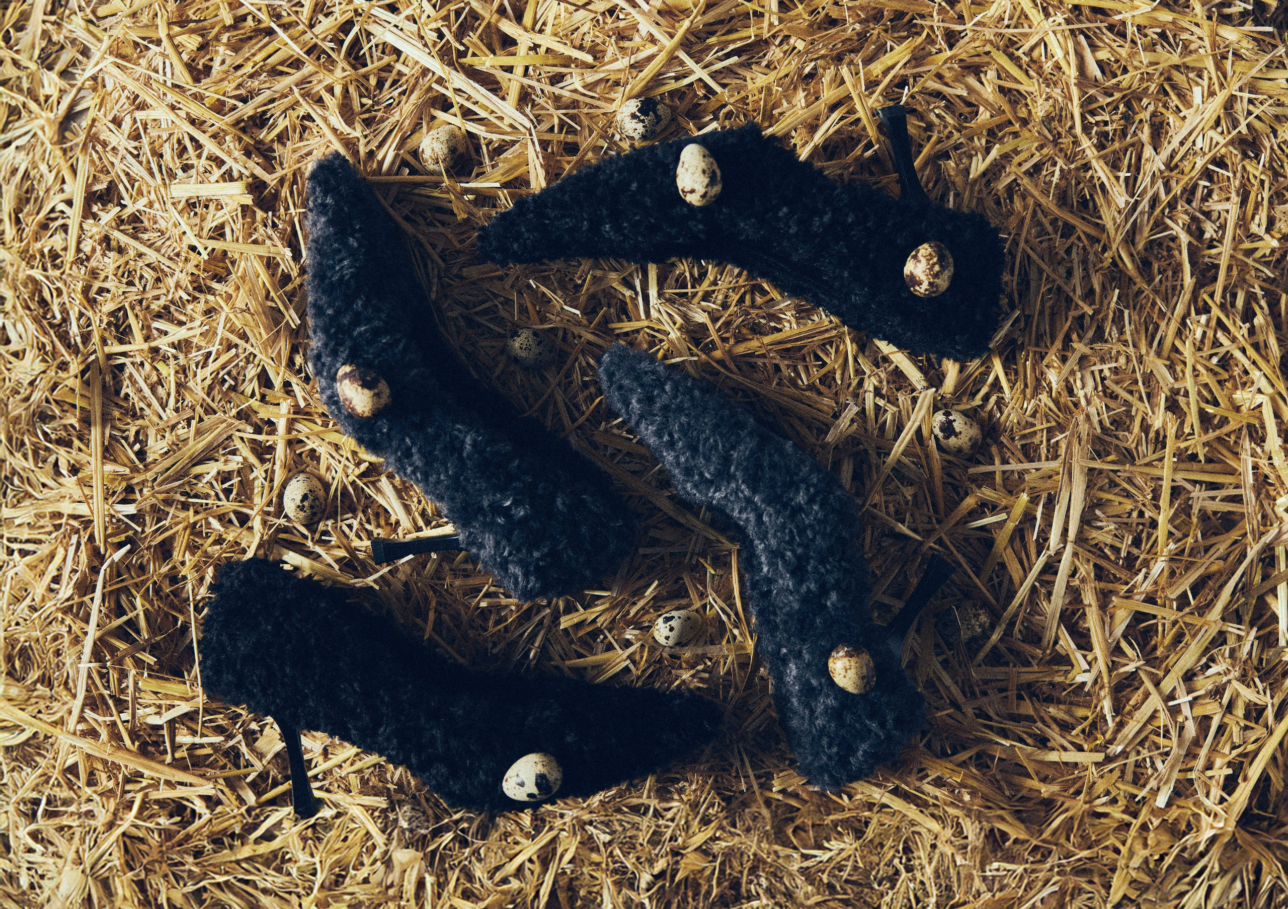 Предметная съемка. Предметный и портретный фотограф из Москвы Лосевский Александр