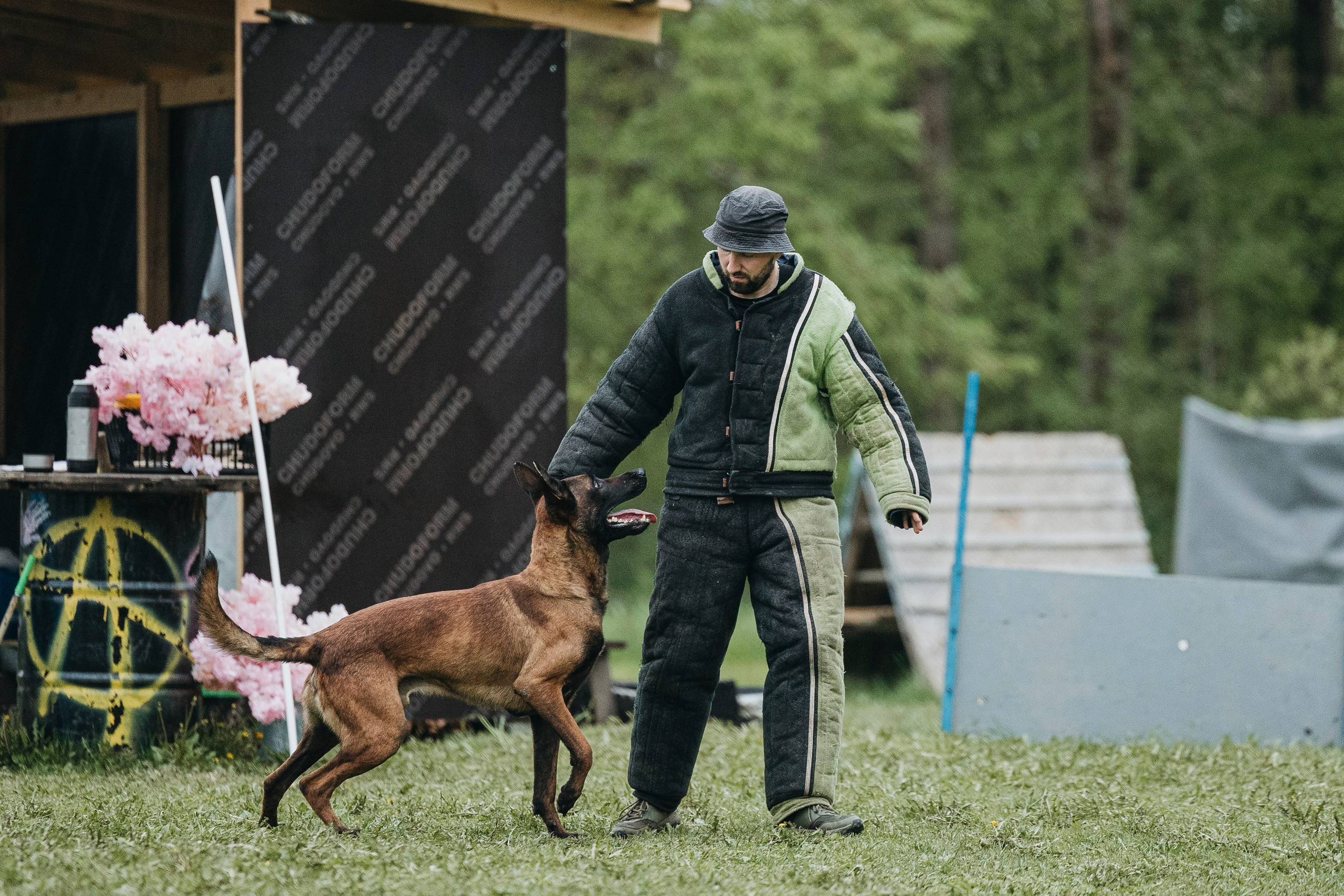 26.05.25 г. Пушкин квалификационные соревнования. Фотограф-анималист Анна Маринич