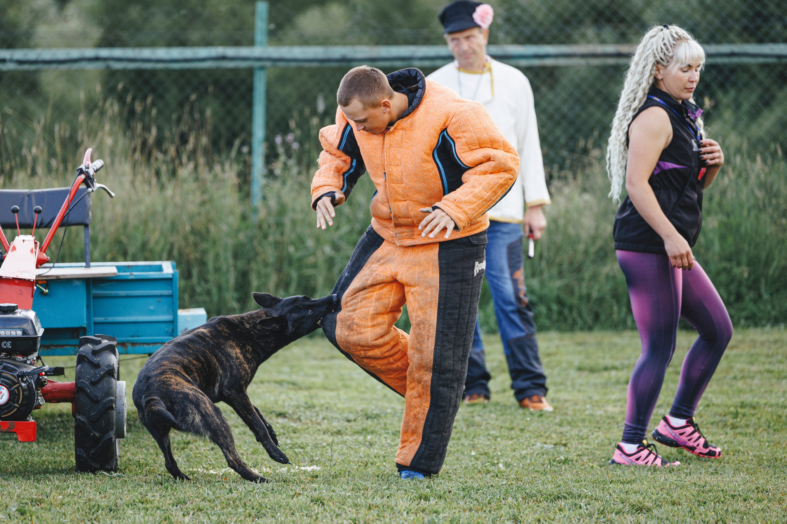 08.08.25-10.08.25 ЧР по мондьорингу г. Вологда. Фотограф-анималист Анна Маринич