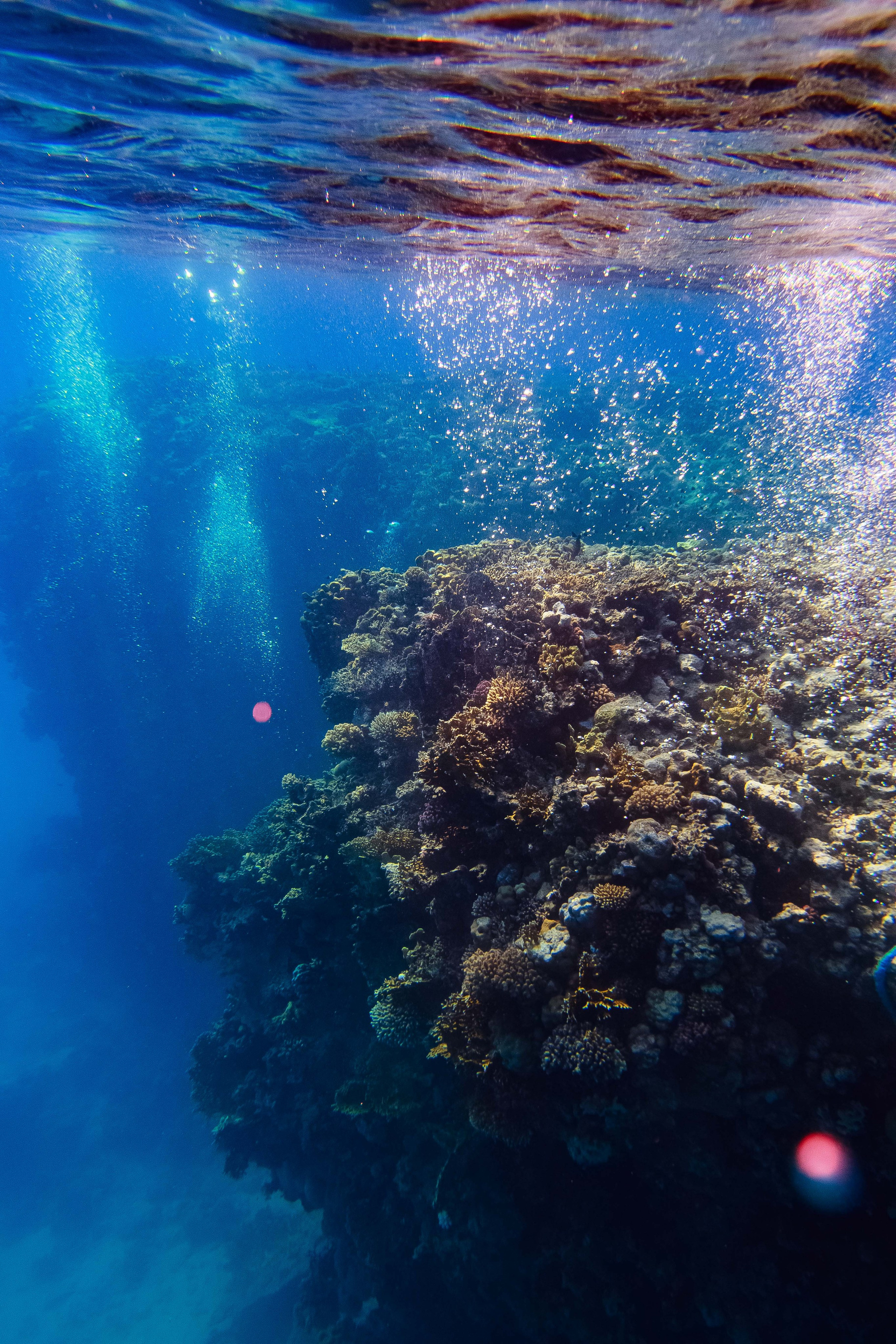 Fish. Фотограф Светлана Голицына