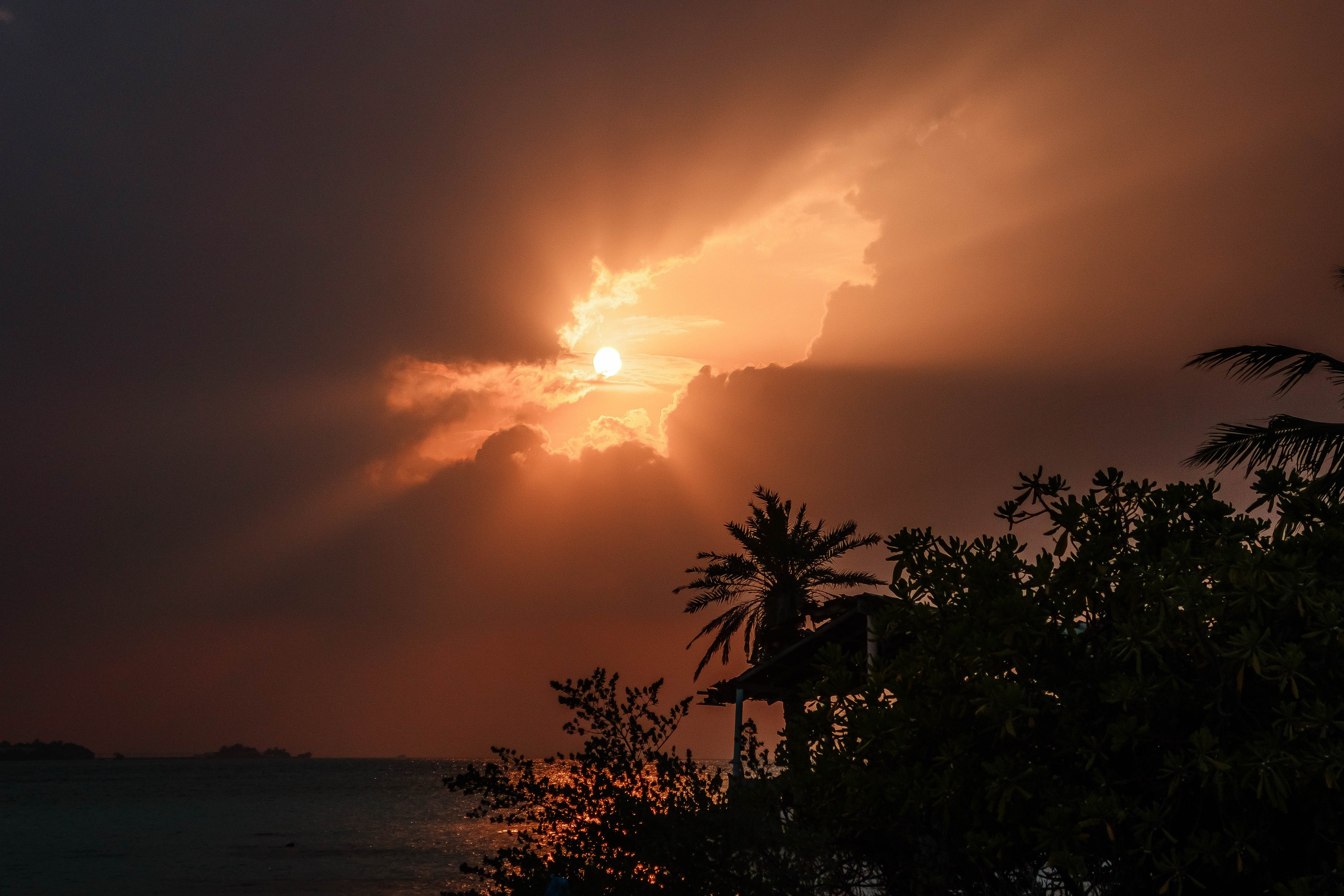 О.Тулусду. Мальдивы. Фотограф Светлана Голицына