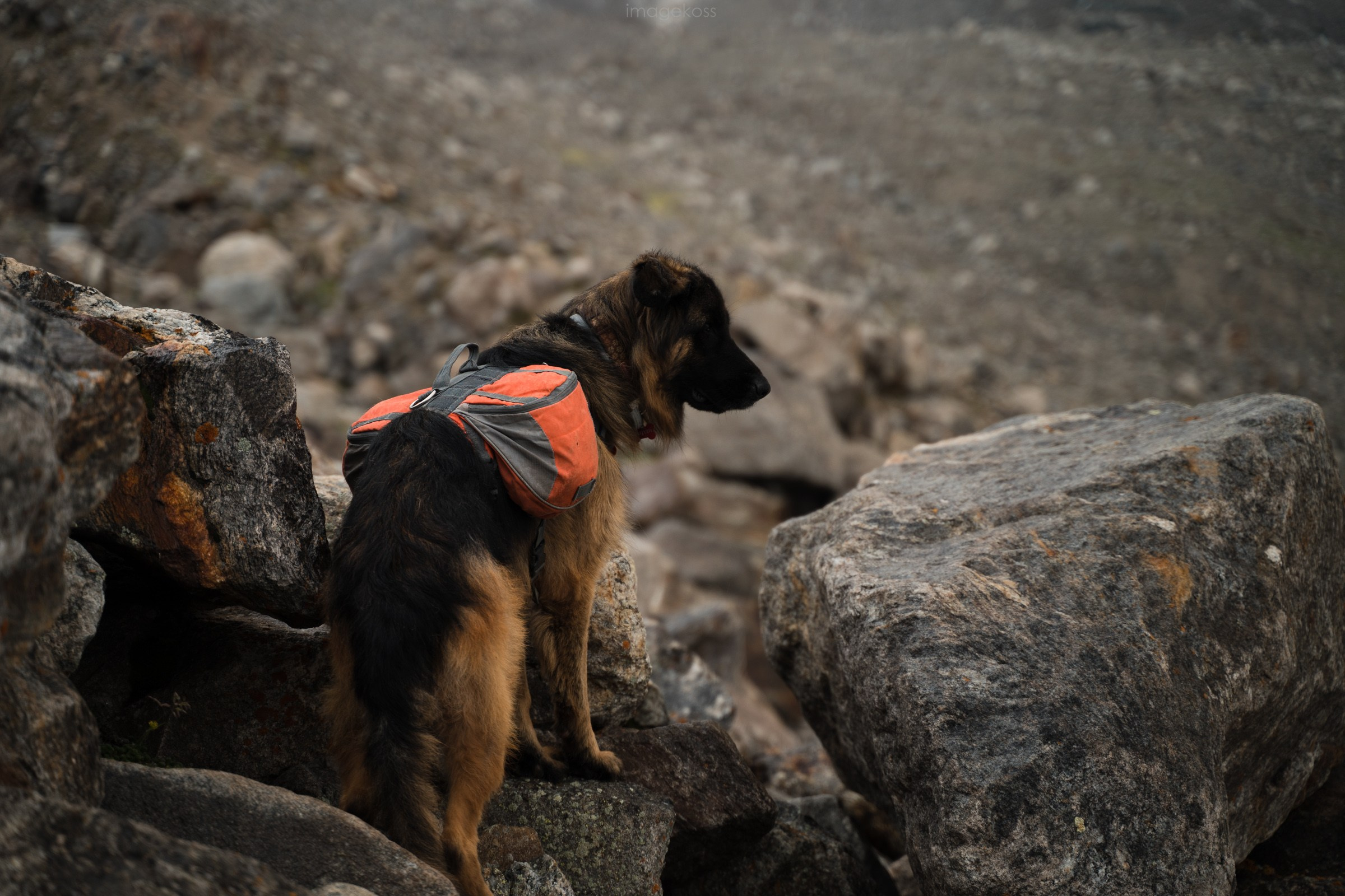КБР. Эльбрус, Адыр-Су, Сылтран-кёль. Фотограф в поход и восхождение на Эльбрус Игорь Косарев