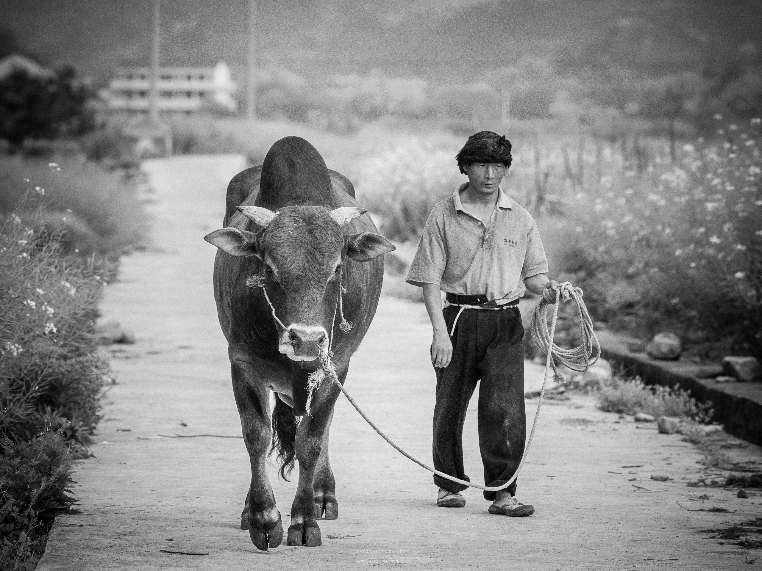 10-Й ВИДЕО-ОБЗОР стрит-фотографий от Дмитрия Смирнова. Авторские стильные фотокартины