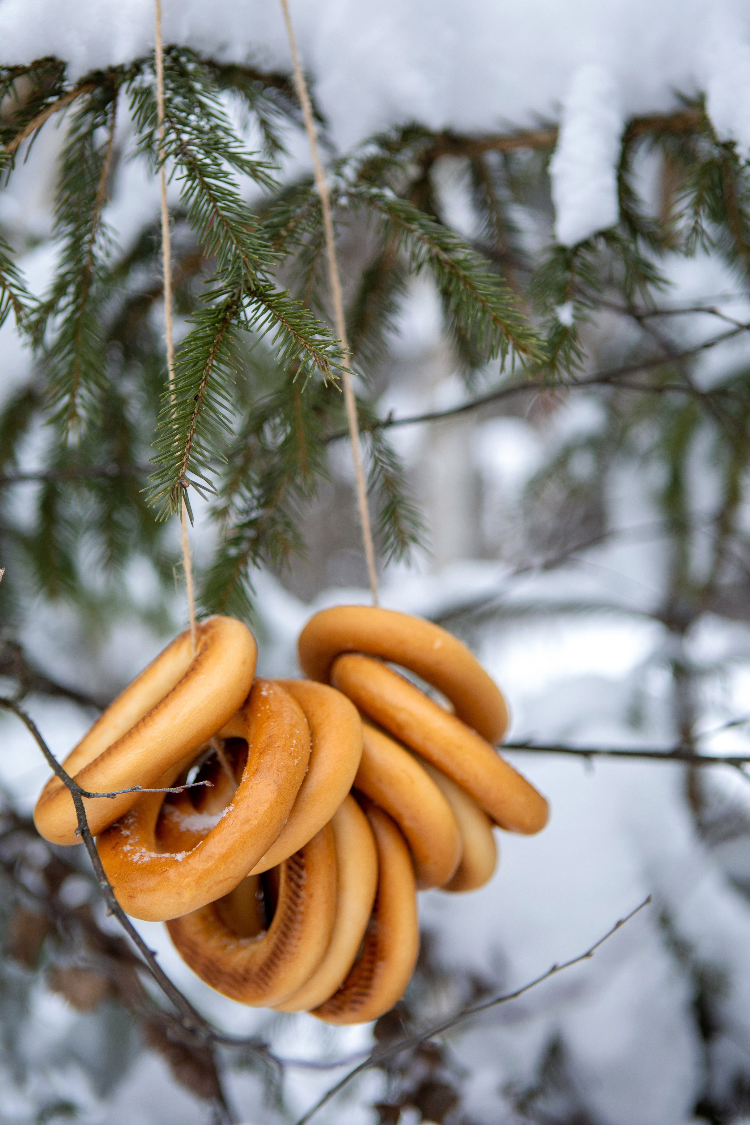 И это всё о ней. Фотограф Яна Матвеева в Ижевске