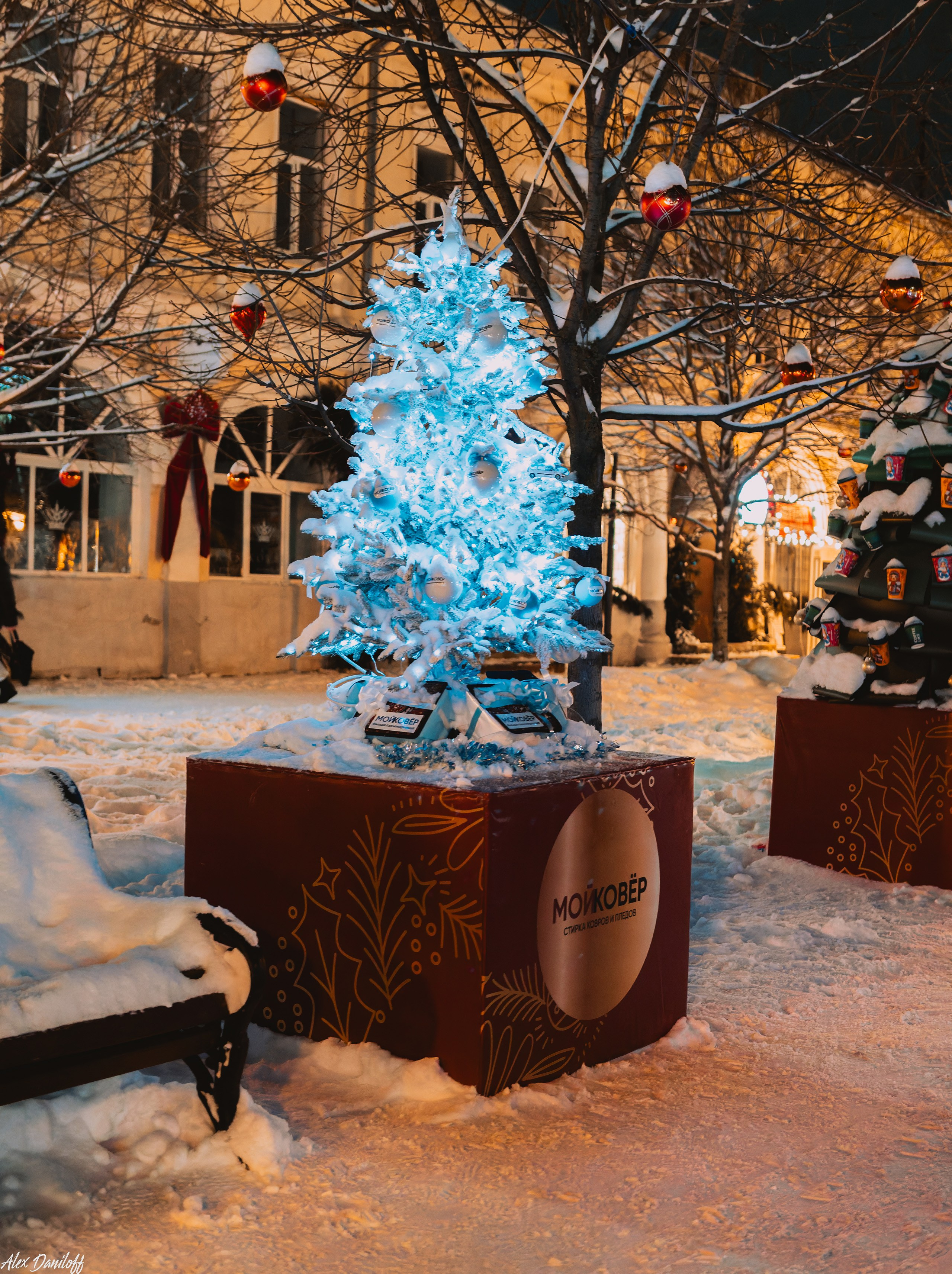 Елки 2025. Муром-Инфо. Новости культуры, образования, спорта в городе Муром