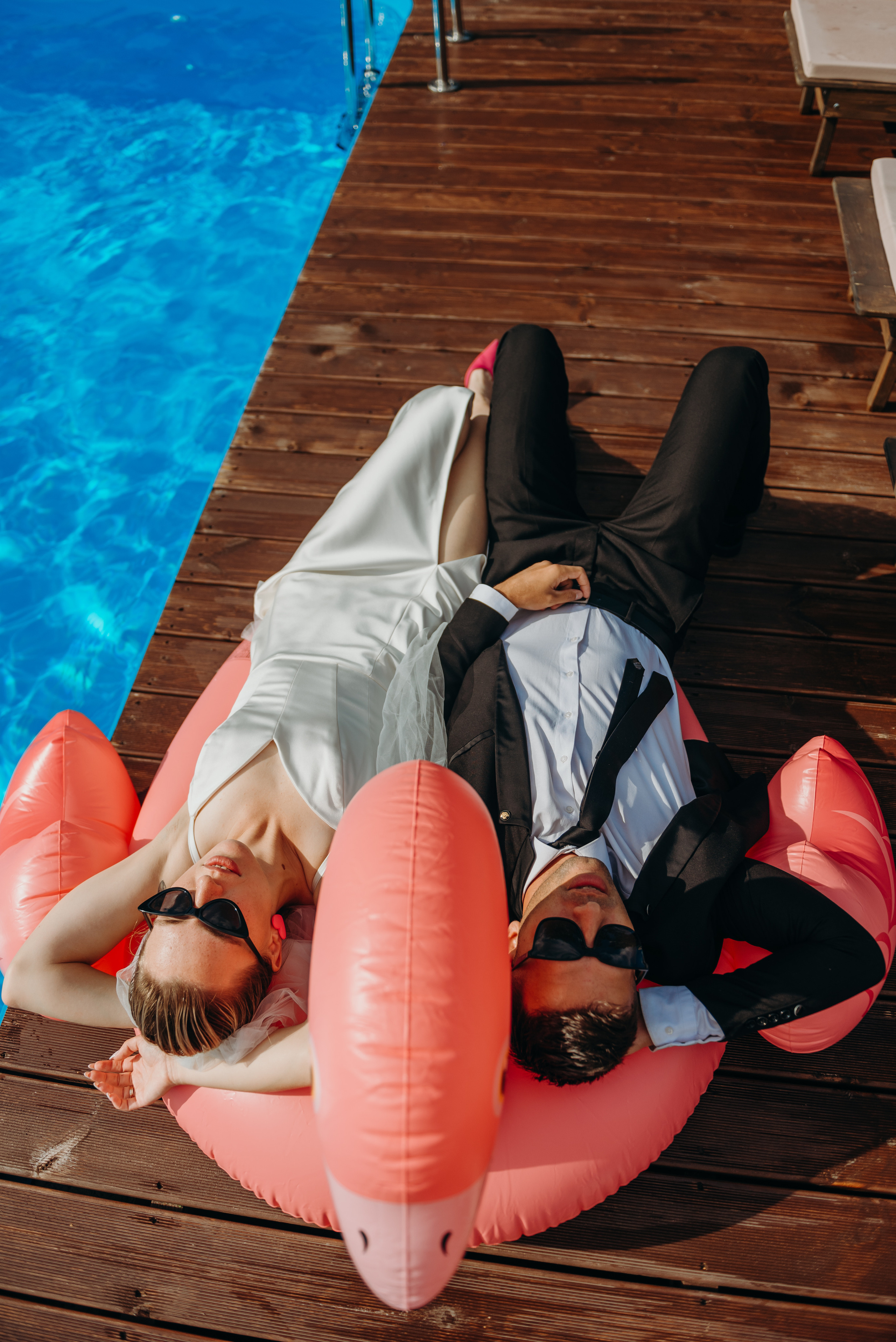 Розовый фламинго. Фотограф Алена Нормальная в Санкт-Петербурге