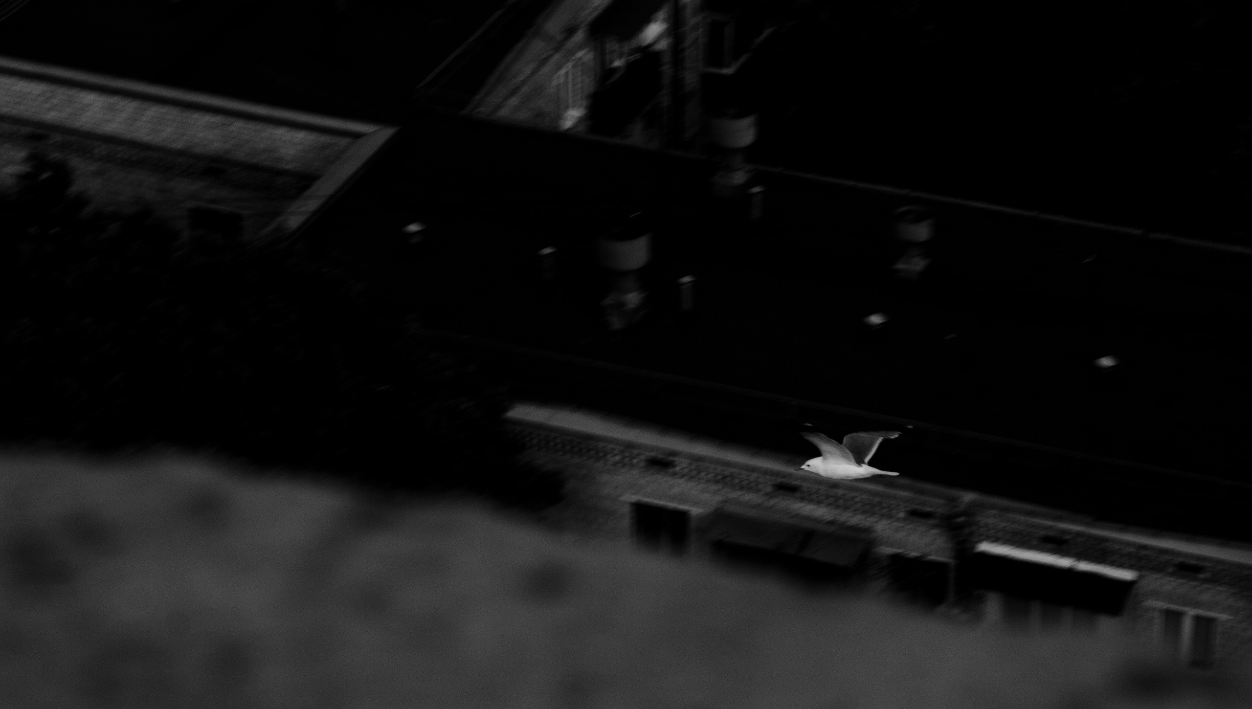 Случайные снимки — творческий фотопроект | EMBOD