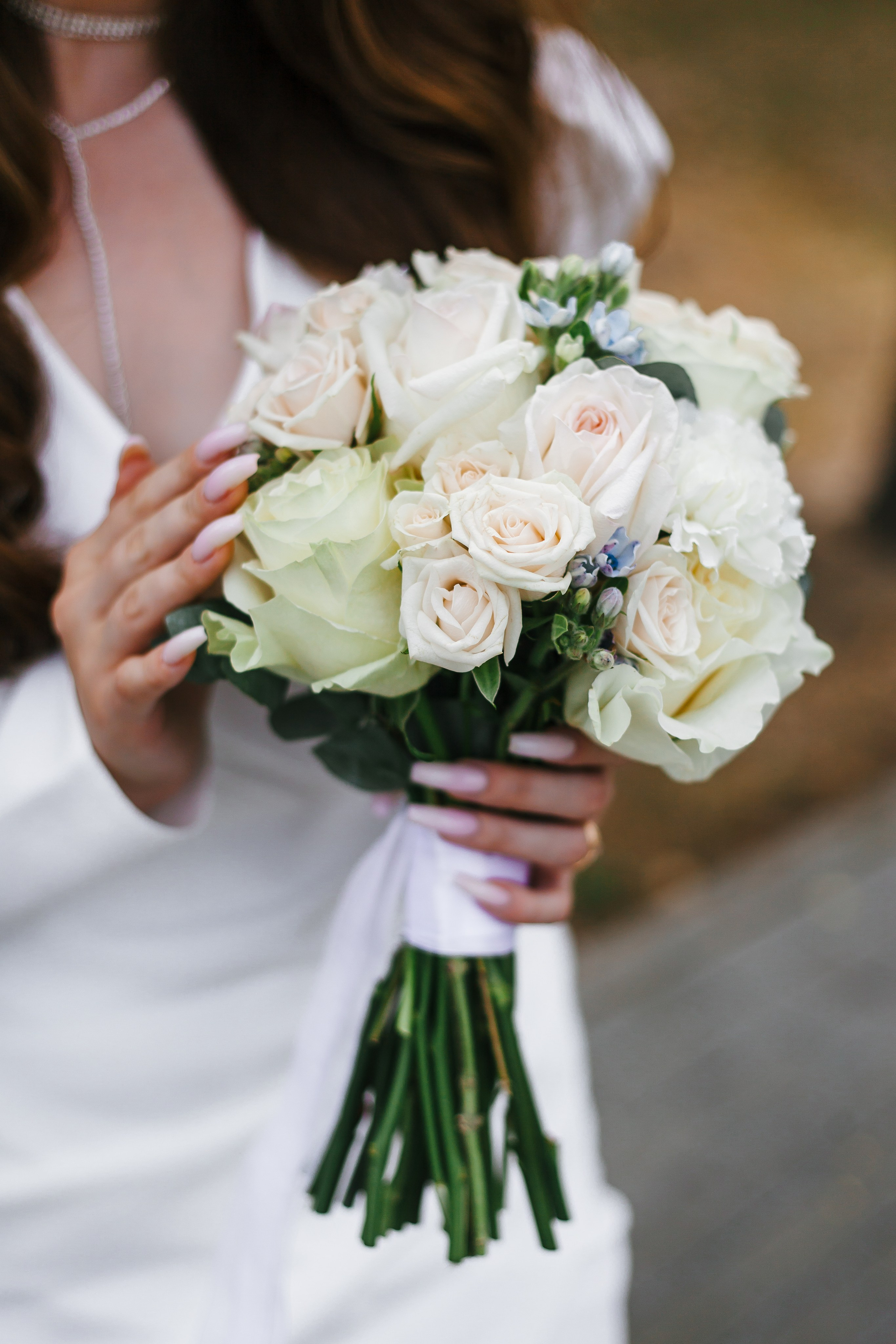 Евгений и Екатерина 01.08.2023. Фотосъёмка в Барнауле. Свадебный фотограф