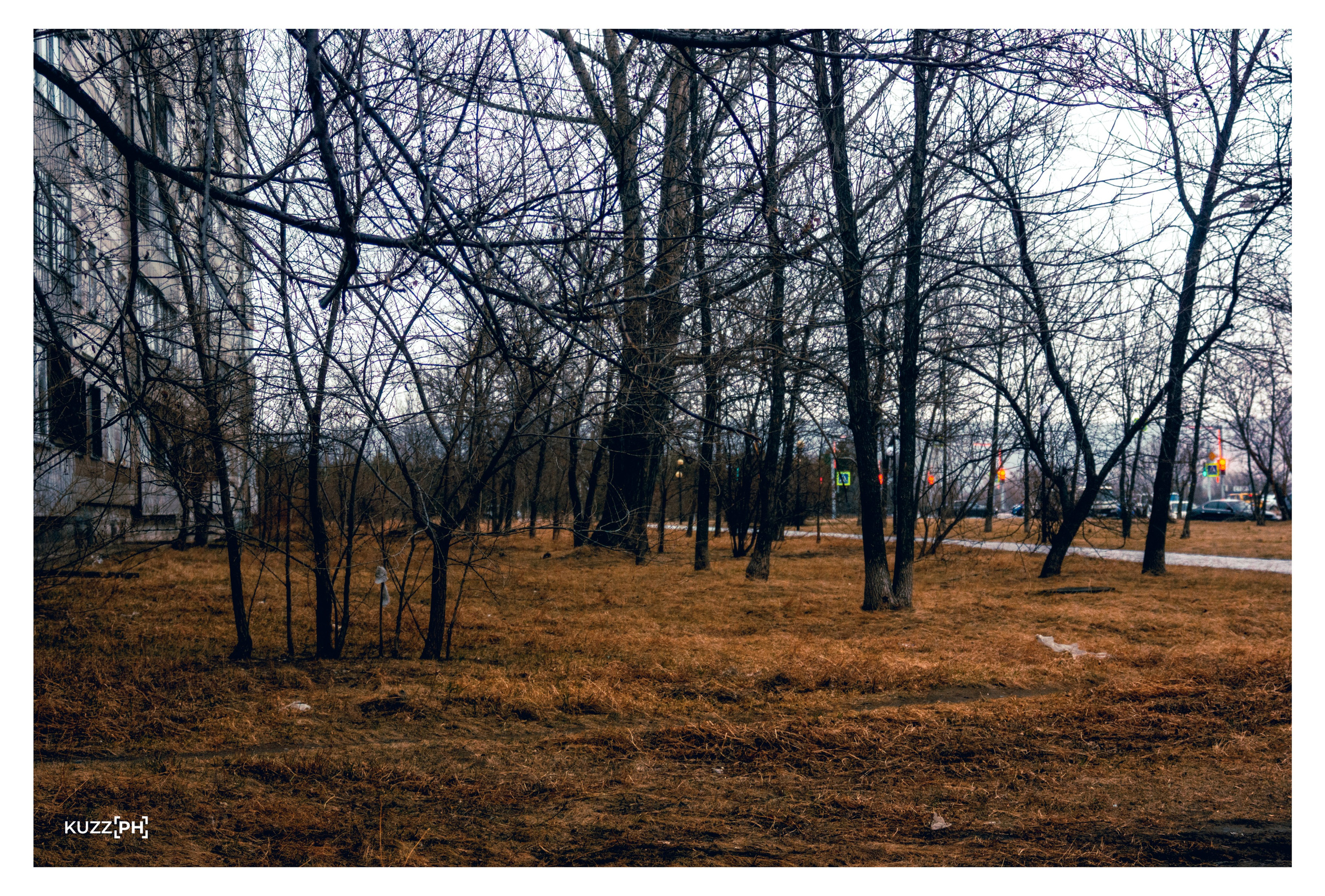 06.04.2025 | Сосновоборск. Kuznetsov | Фотограф в Красноярске