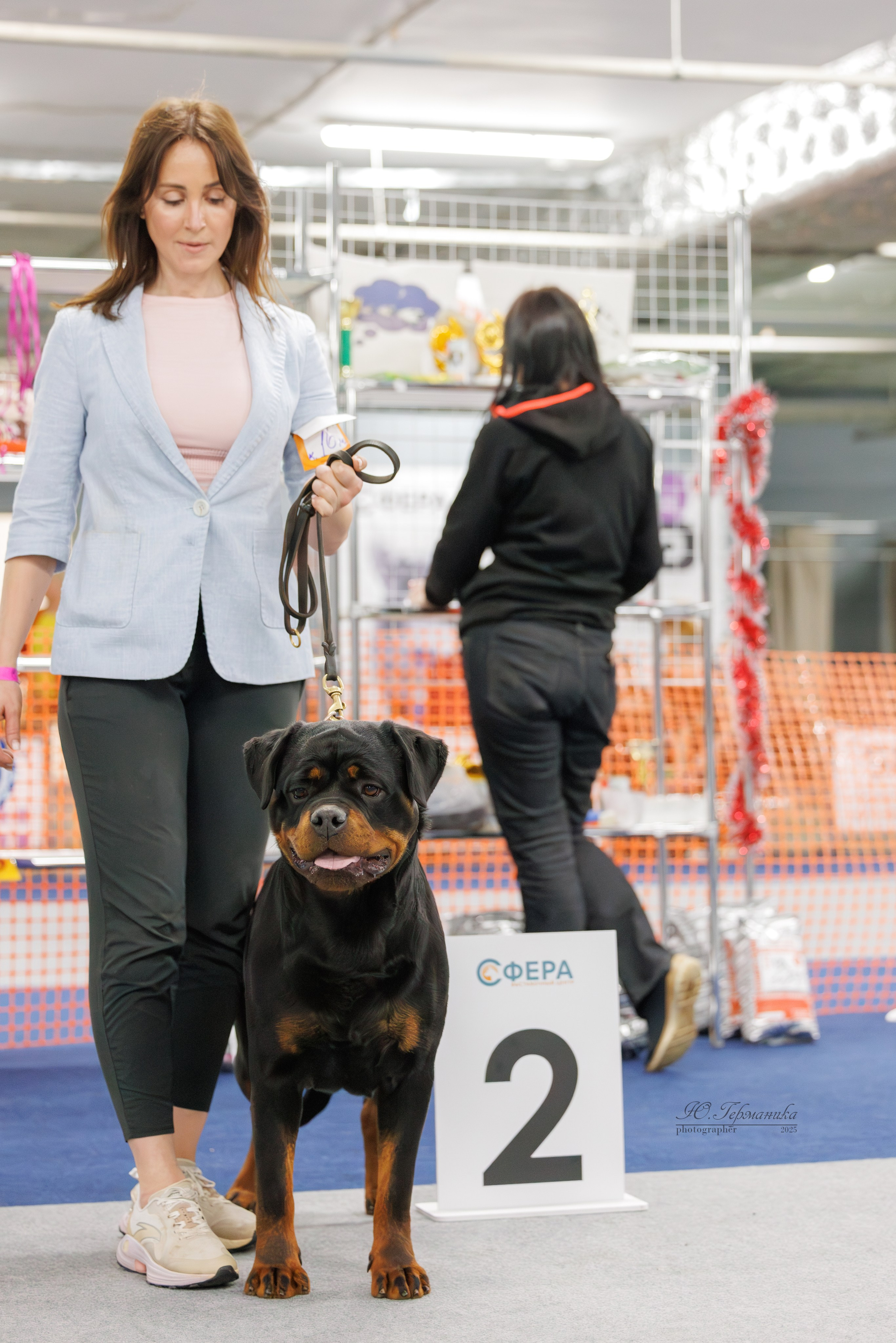 Сфера и Крокус 8,9,16 и 30.03.2025. Фотограф-анималист Юлия Германика