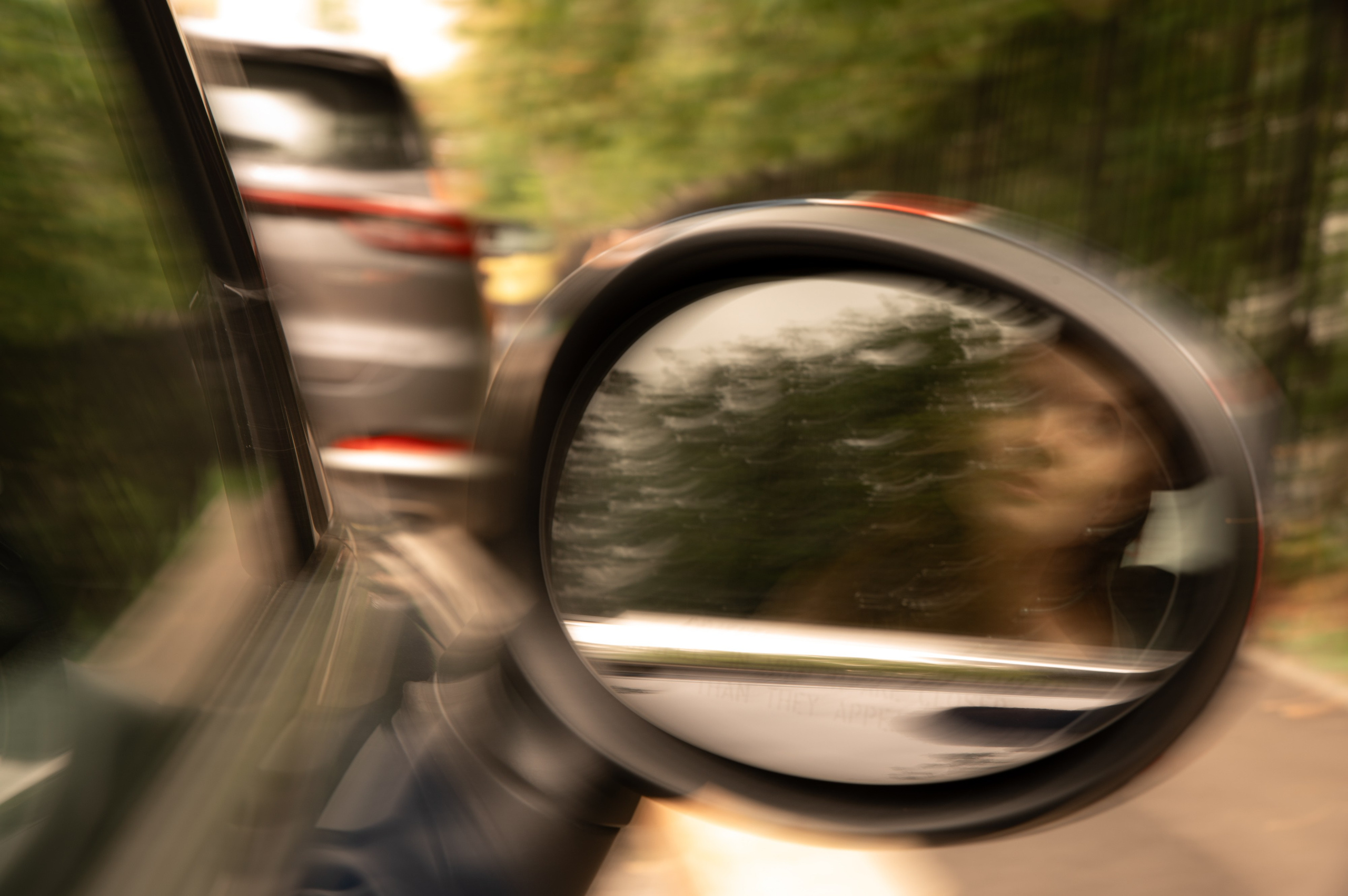 Катя и Сергей. Свадебный и портретный фотограф в Москве Жердев Даниил