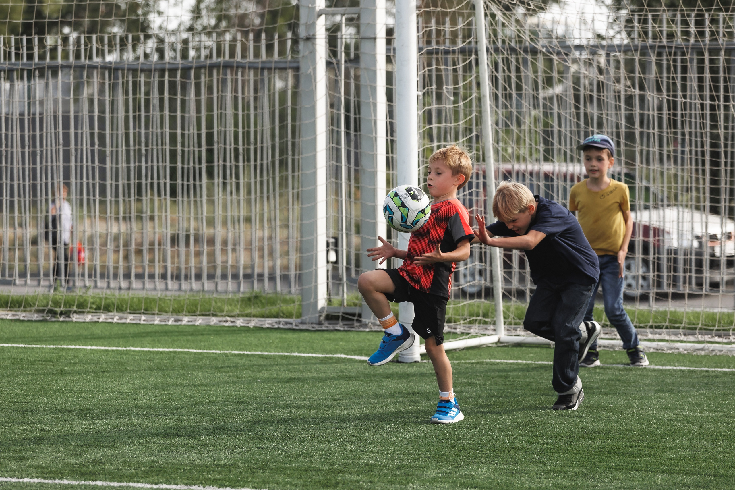 Давиду 7!. Фотограф в Волгограде — Александра Искандерова