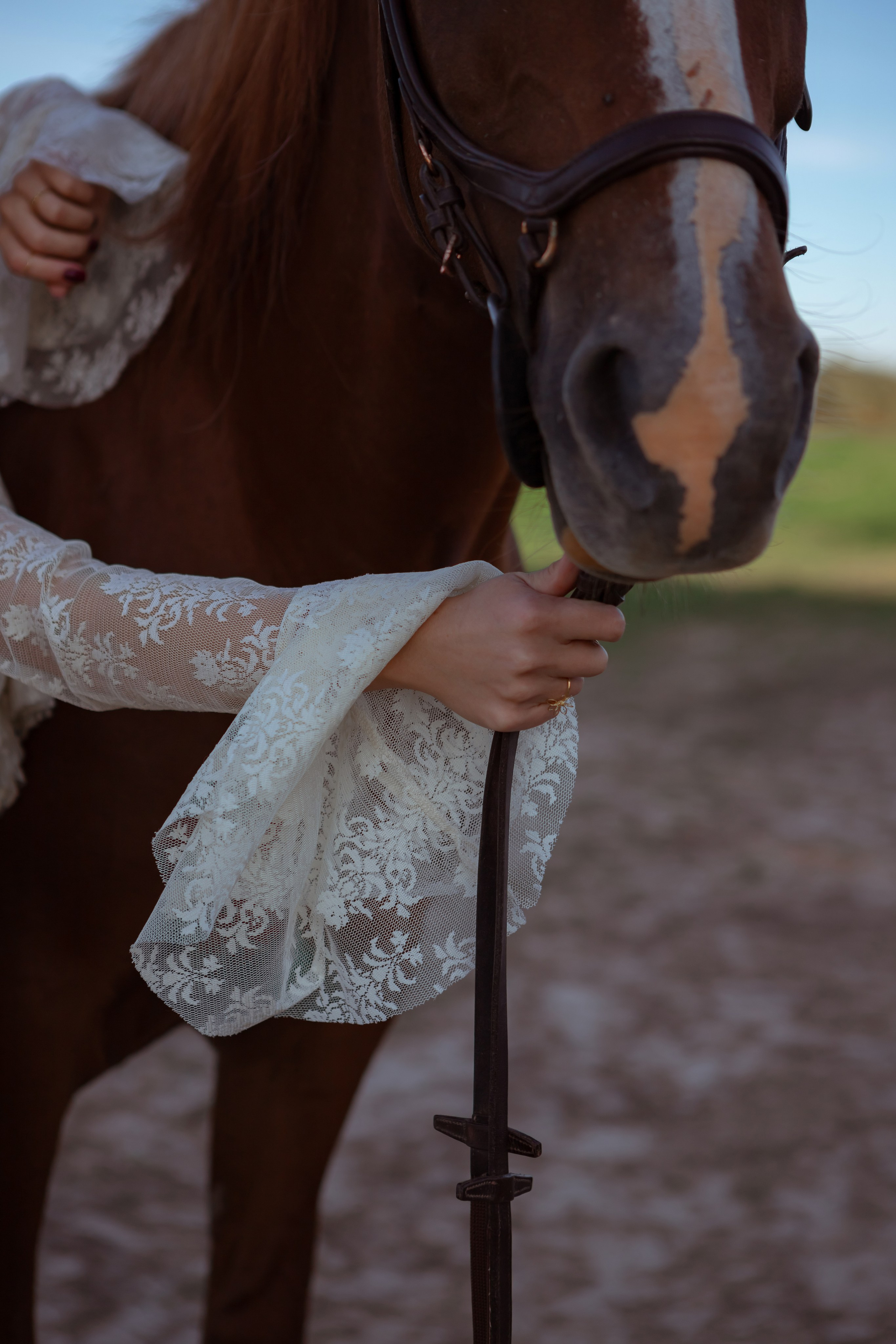 Съемка Елизавета с лошадьми. Фотограф Калуга