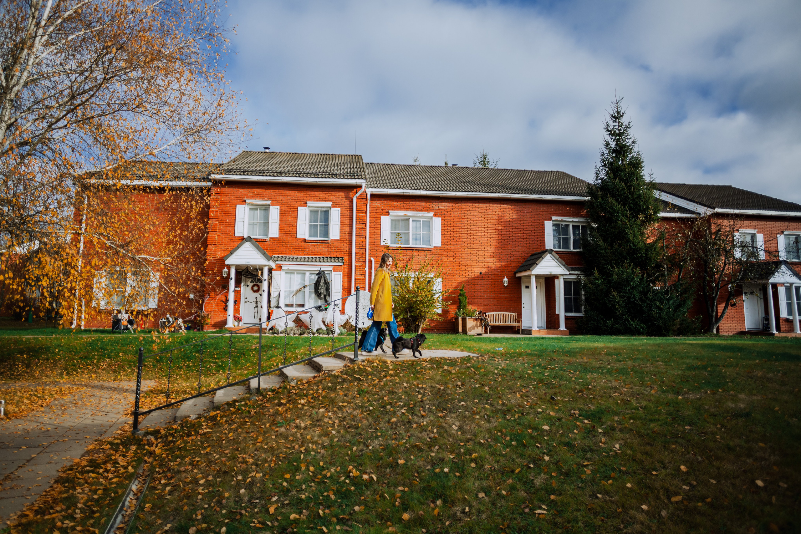 Оля, Харви, Луис. Фотограф-анималист Татьяна Степанова