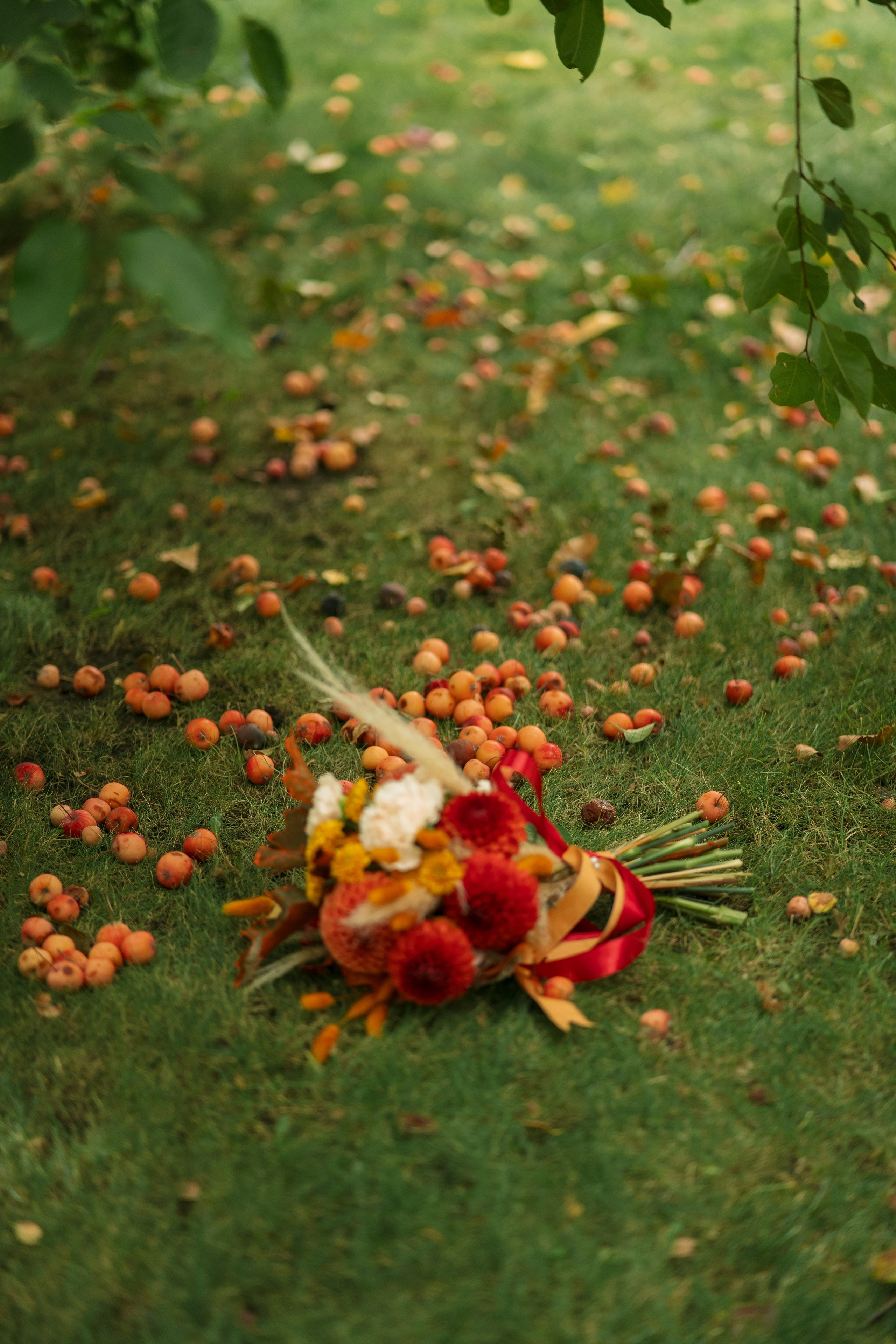 Динамо. Фотограф Мария Зайчик