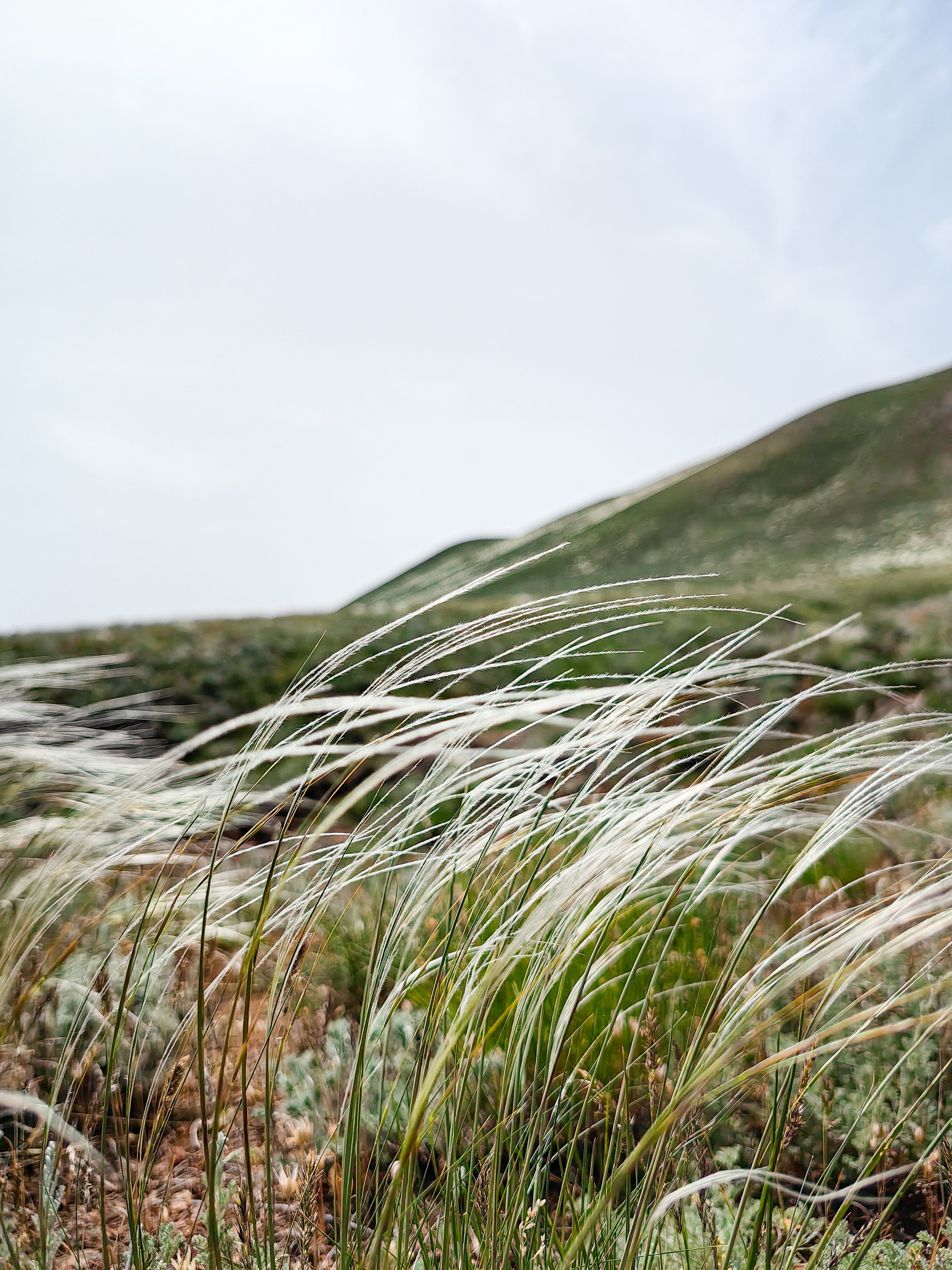 Мобильная солянка. Travel-фотограф Ирина Милинцова
