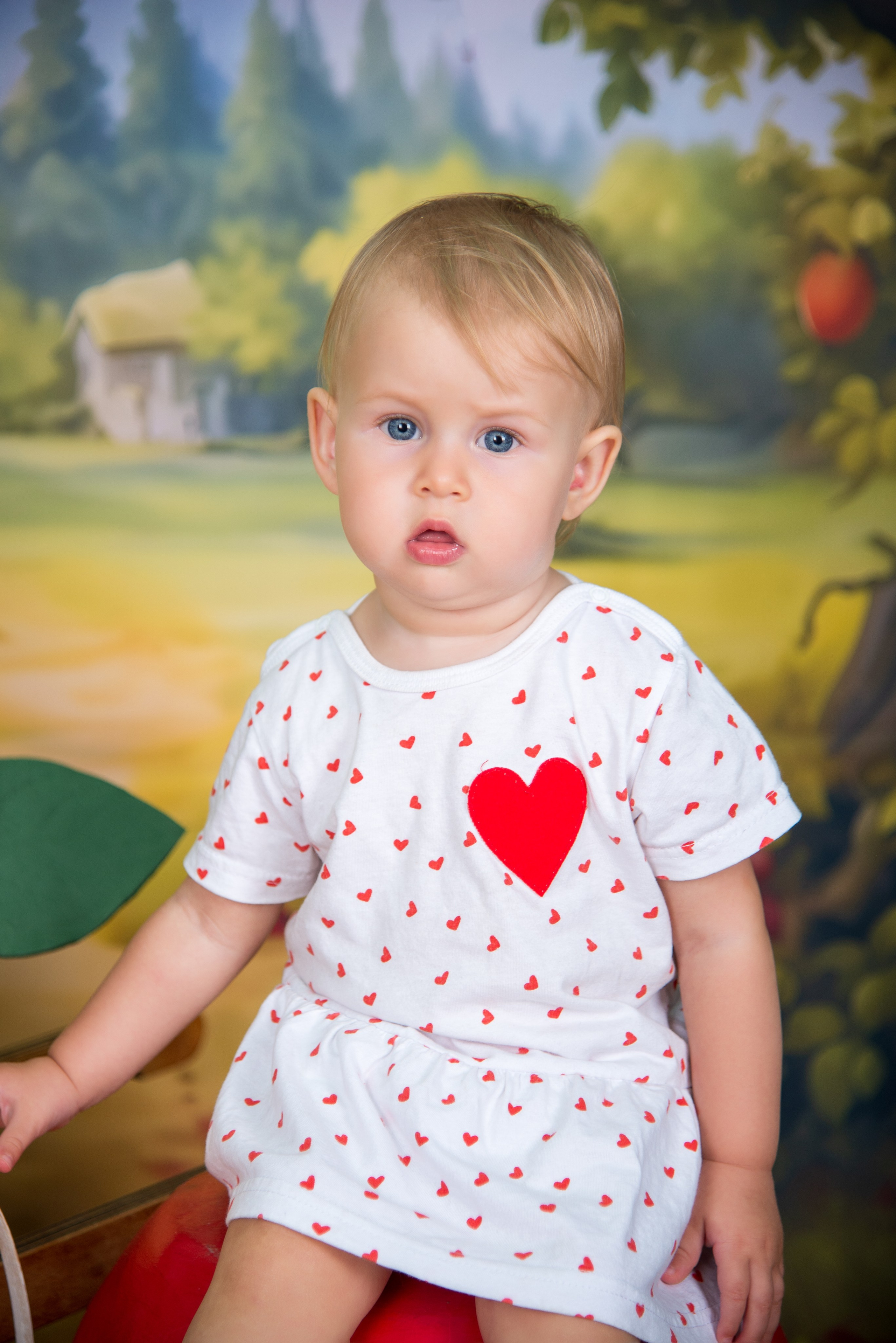 Яблоневый сад. Выпускные альбомы Ярославль