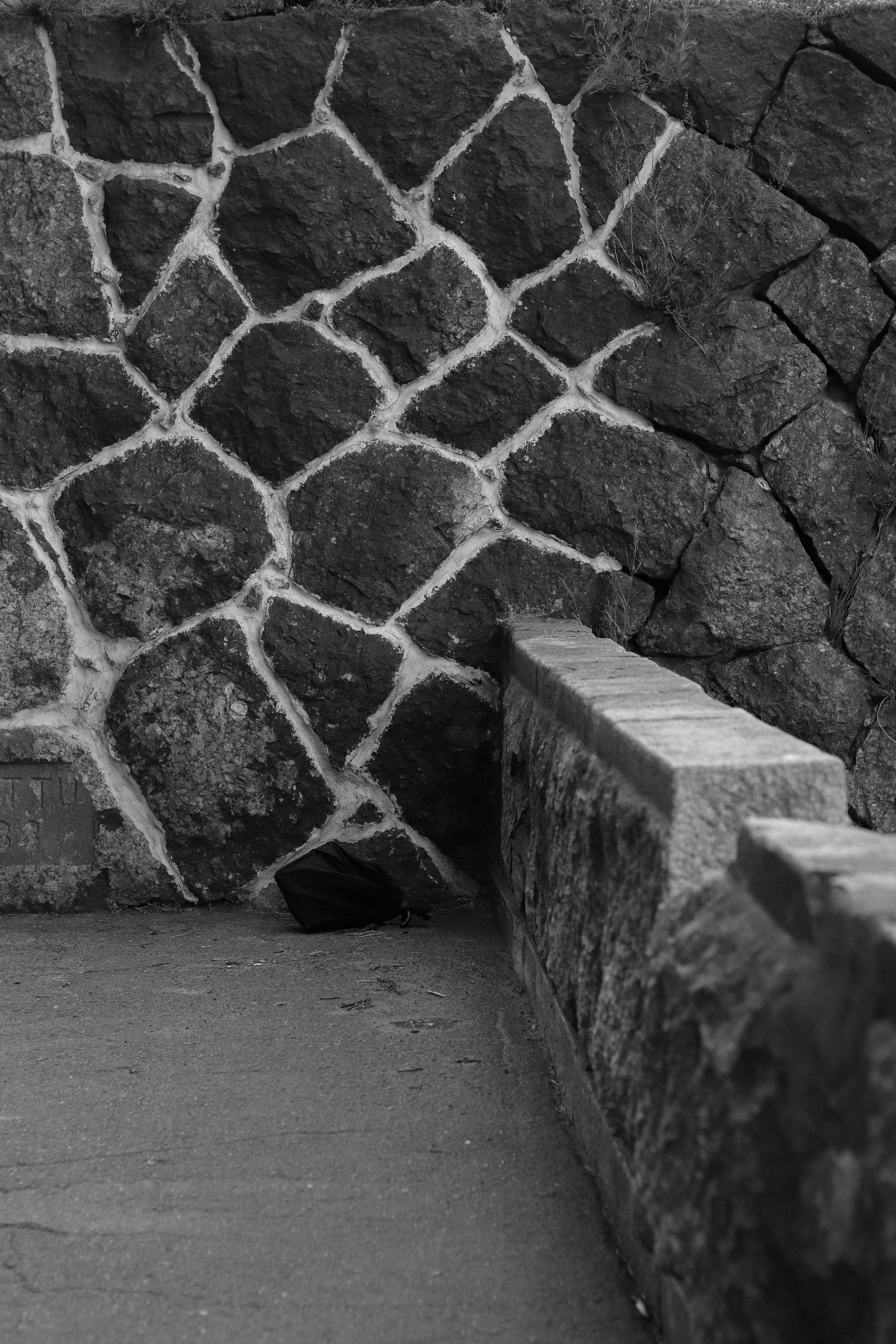 Contour. Фотограф и исследователь фотографии из Санкт-Петербурга Елизавета Веприцкая