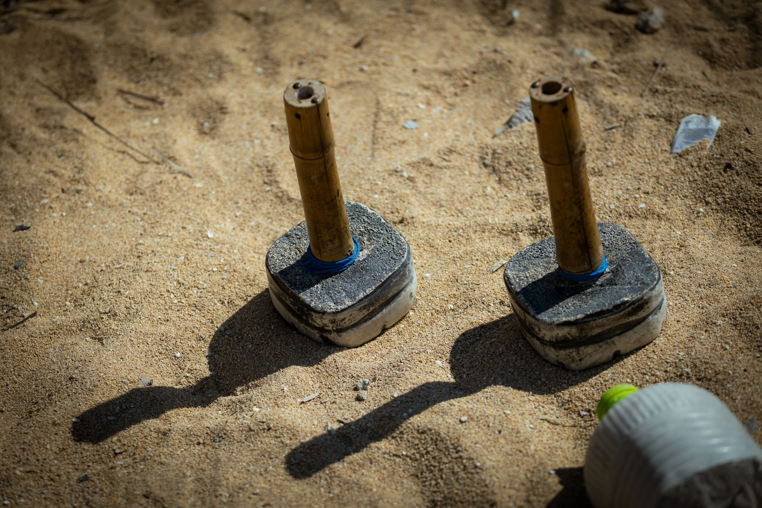 Таиланд (зима 2025). Фотограф Виноградов Константин