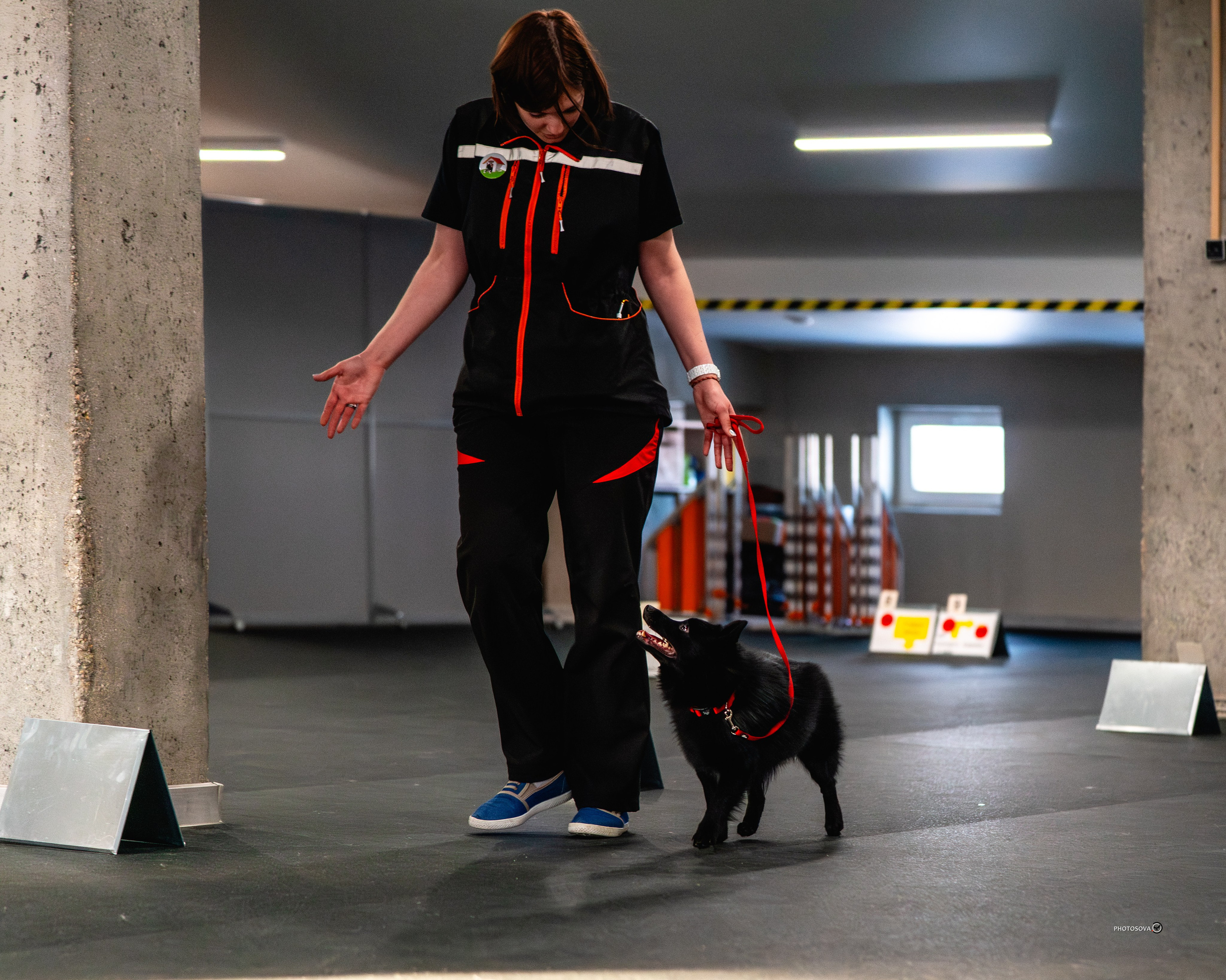 ТЫ И Я (соревнования по ралли-обидиенс). Фотограф-анималист, семейный фотограф в Москве и Подмосковье. Фотосъёмка кинологических дисциплин