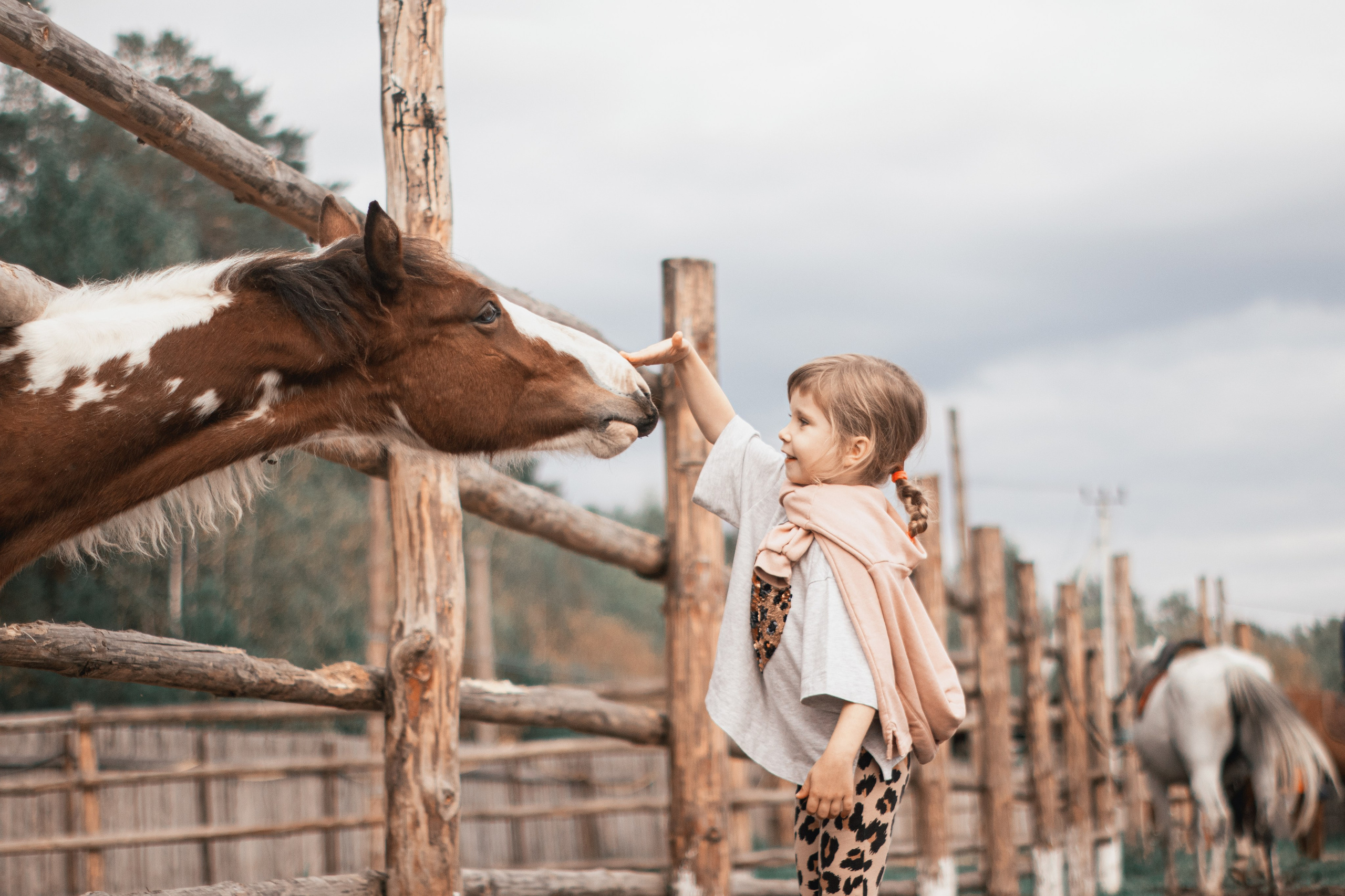 Фестиваль казачьей культуры на «Хутор Кречет». Фотограф в Тюмени Лизавета Сапицкая