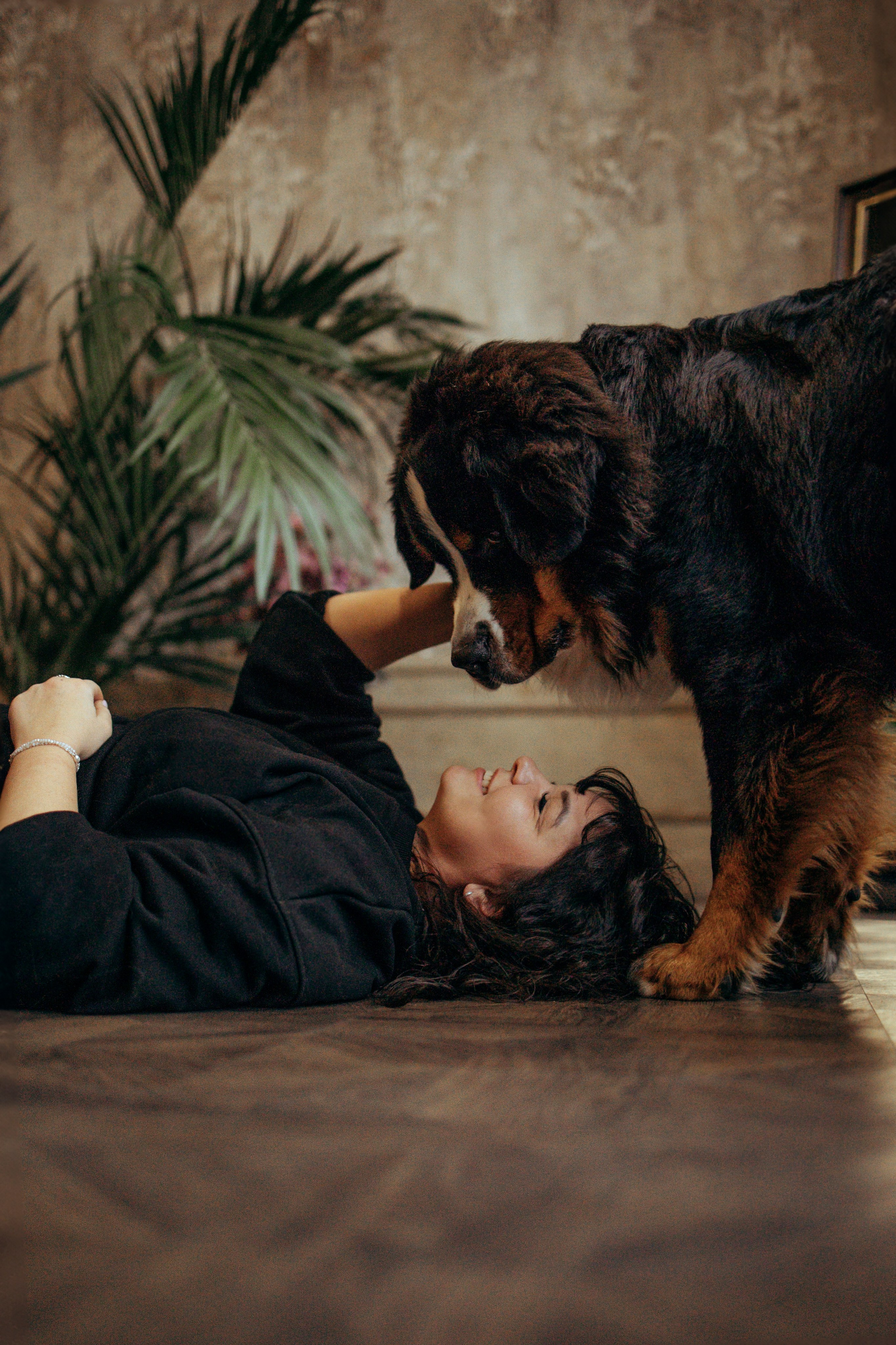 Съемка в студии с собакой. Анастасия Белаш