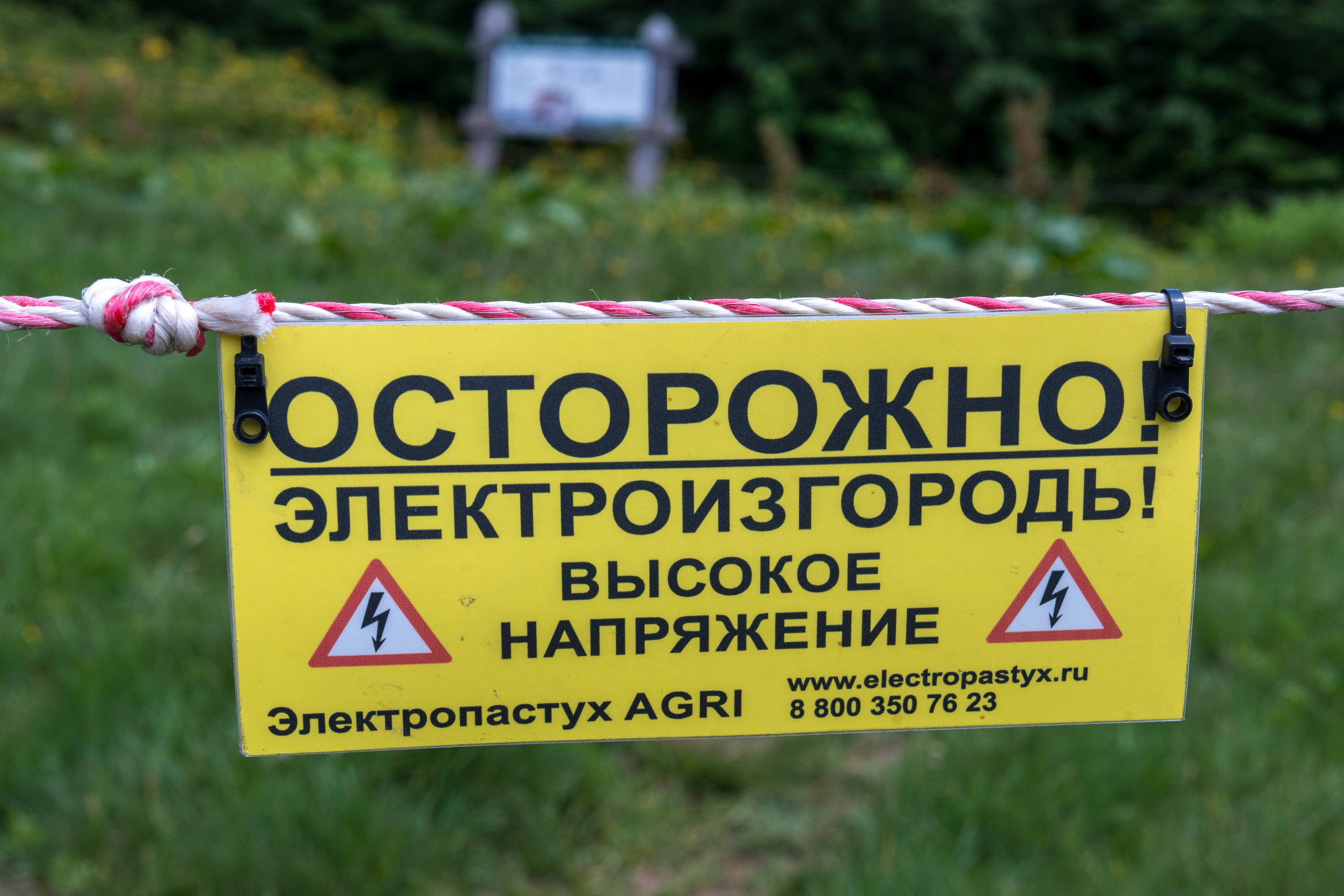 MICE мероприятие для компании «Доставка морем»: хайкинг к Ачипсинским водопадам. Репортажный фотограф в Красной Поляне и Сочи Павлюченко Екатерина