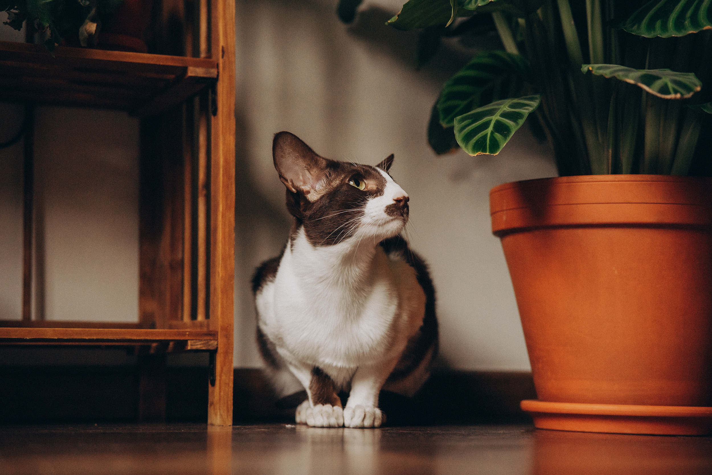 Съёмки дома. Детский и семейный фотограф — Калининград — Юля Насифуллина