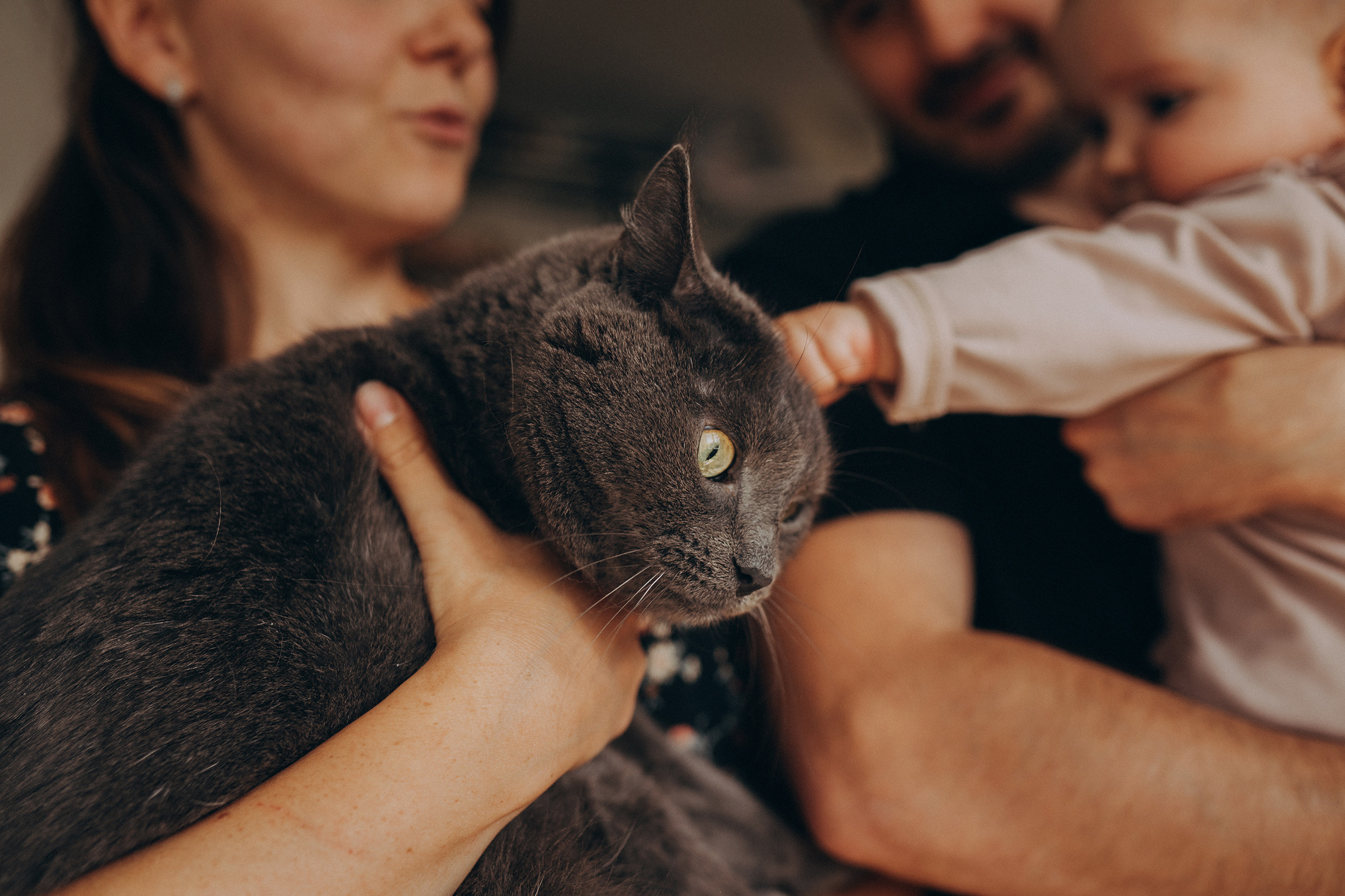 Съёмки дома. Детский и семейный фотограф — Калининград — Юля Насифуллина