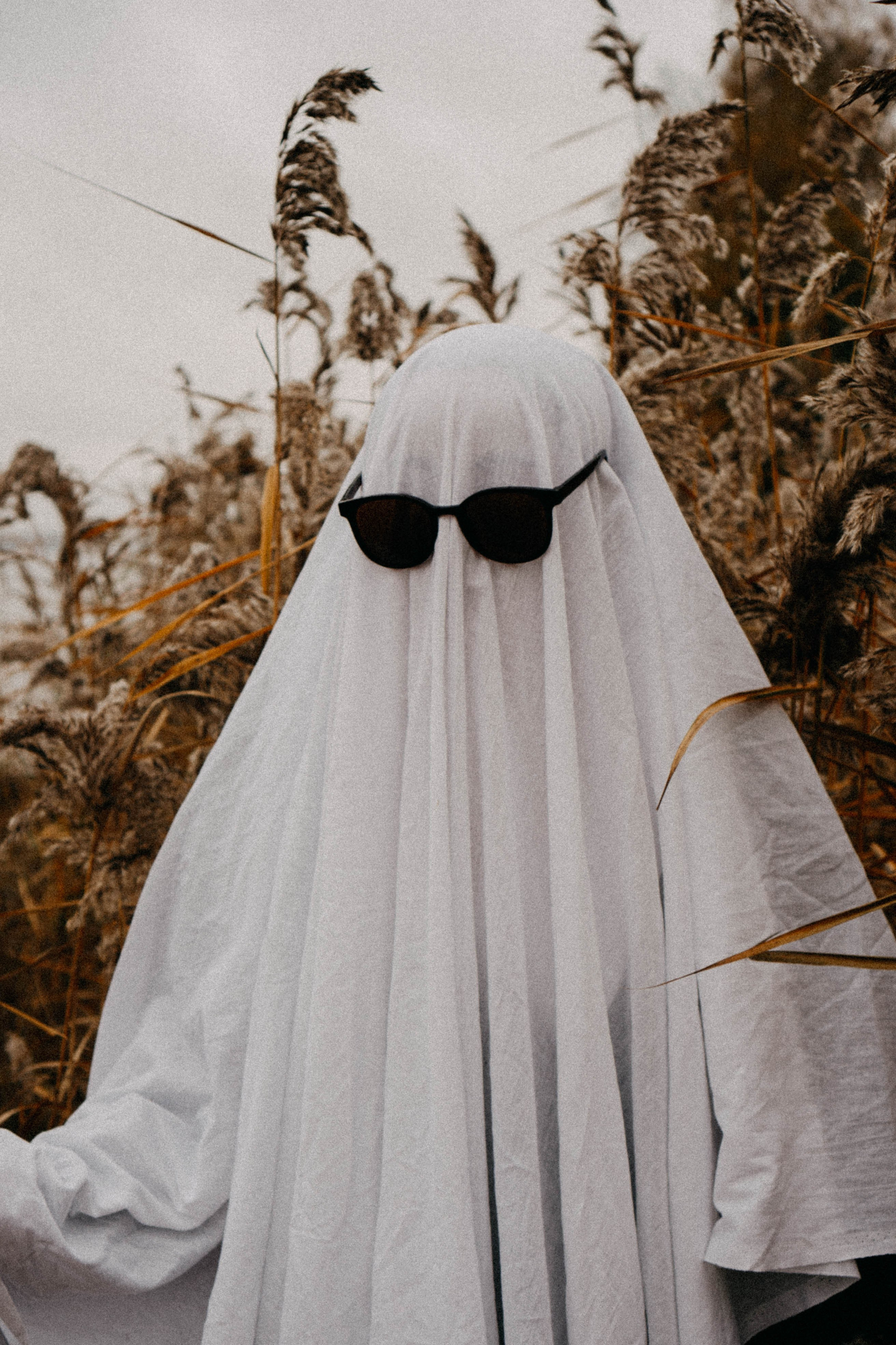 Осеняя. Профессиональный фотограф, Санкт-Петербург — Виктория Богомолова