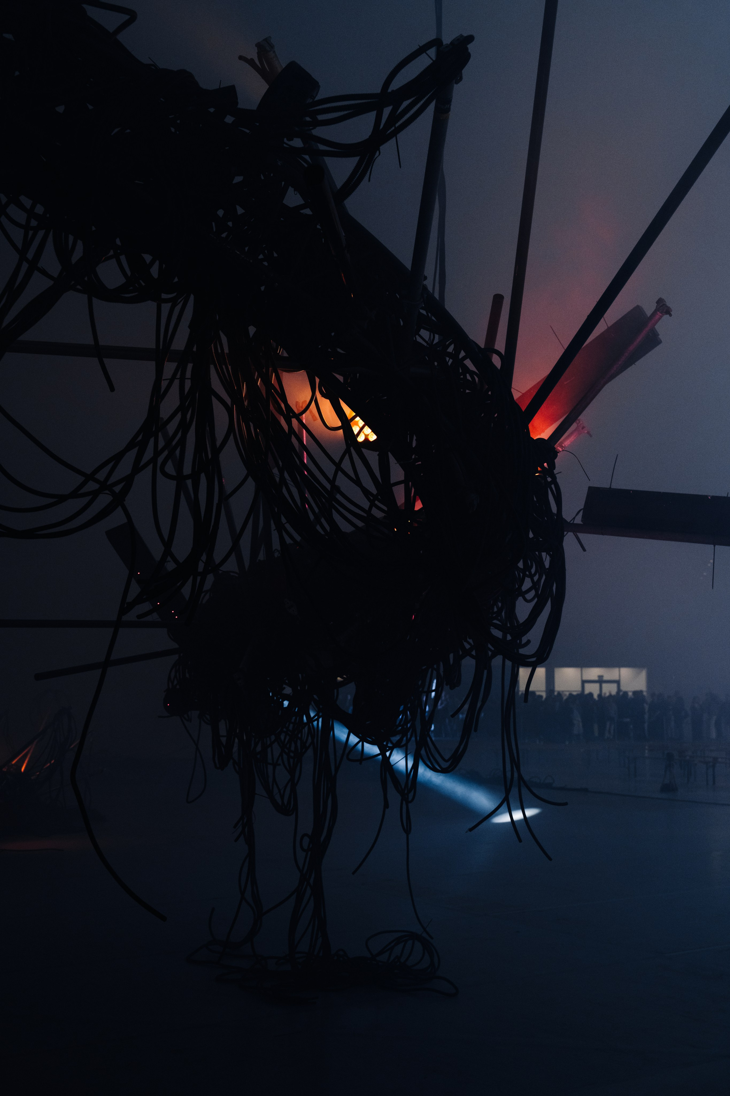 PANTERRA, CHRONOMORPH 001. @tomrus: Рустам Шагиморданов — фотограф