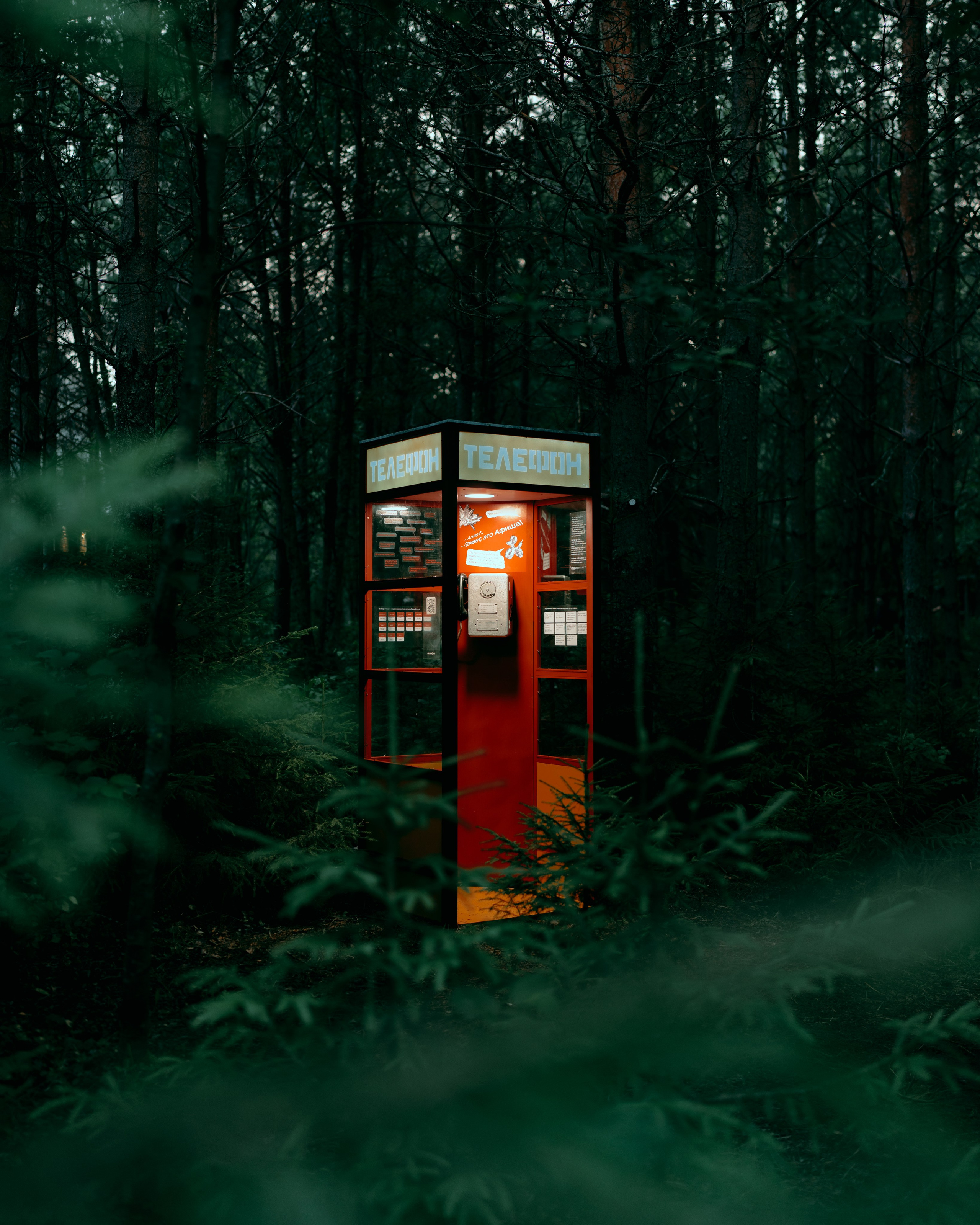 Outline 2024. @tomrus: Рустам Шагиморданов — фотограф