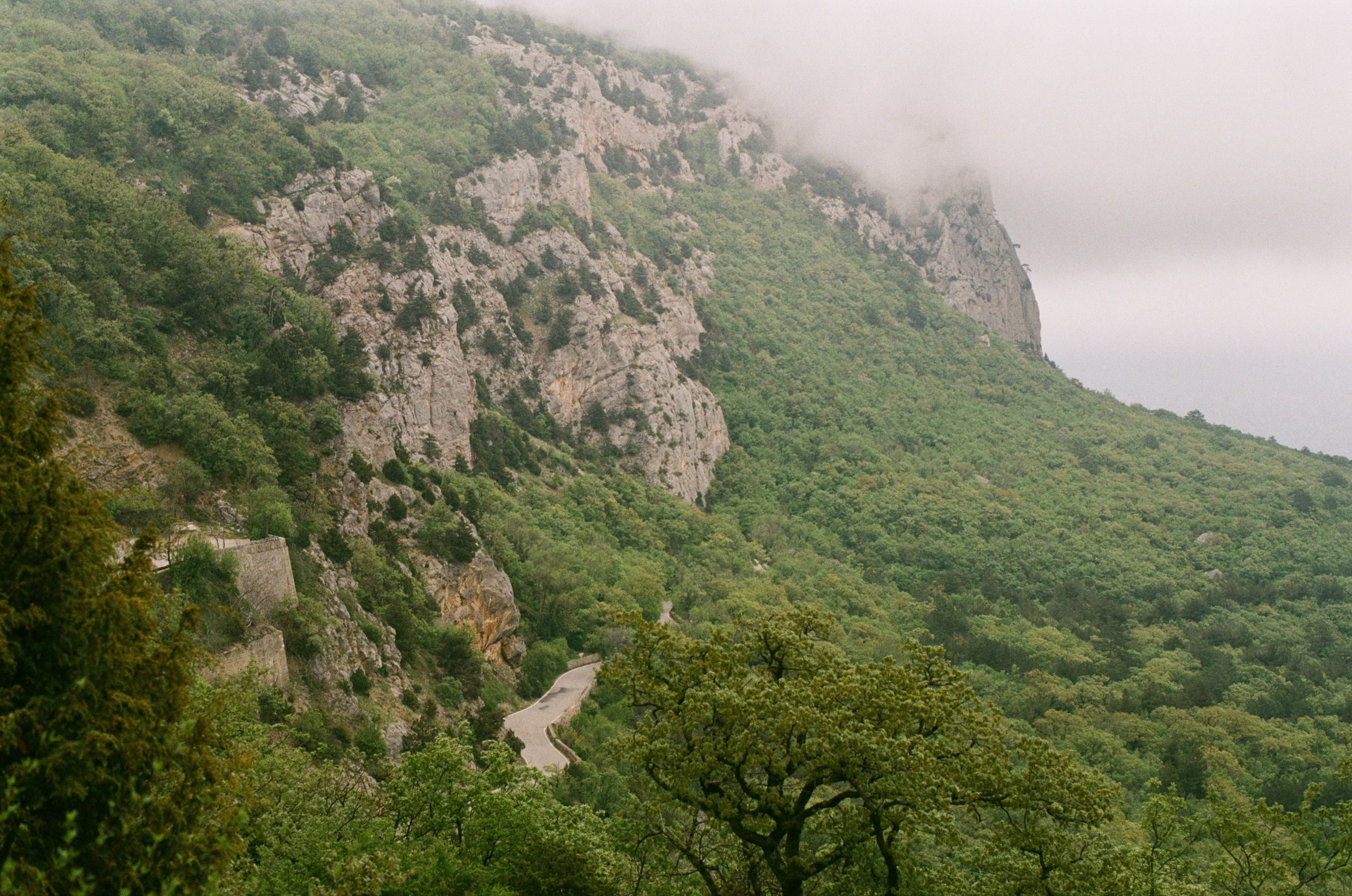 Follow you // ukraine, crimea III. EVER EXPOSED