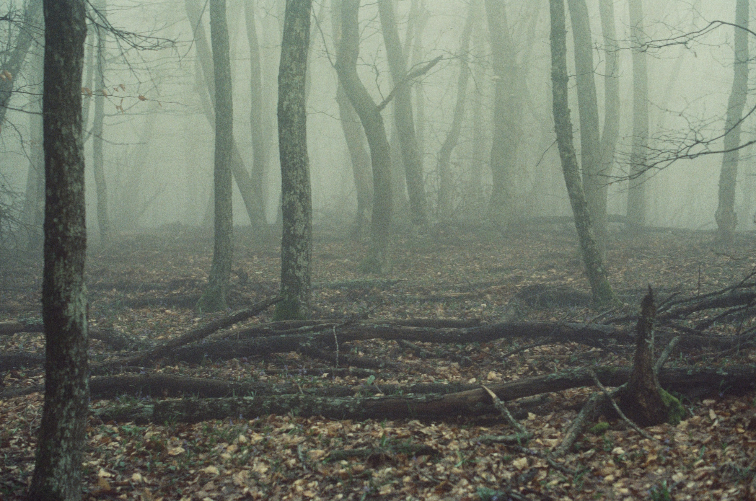 Some kind of madness // ukraine, crimea. EVER EXPOSED