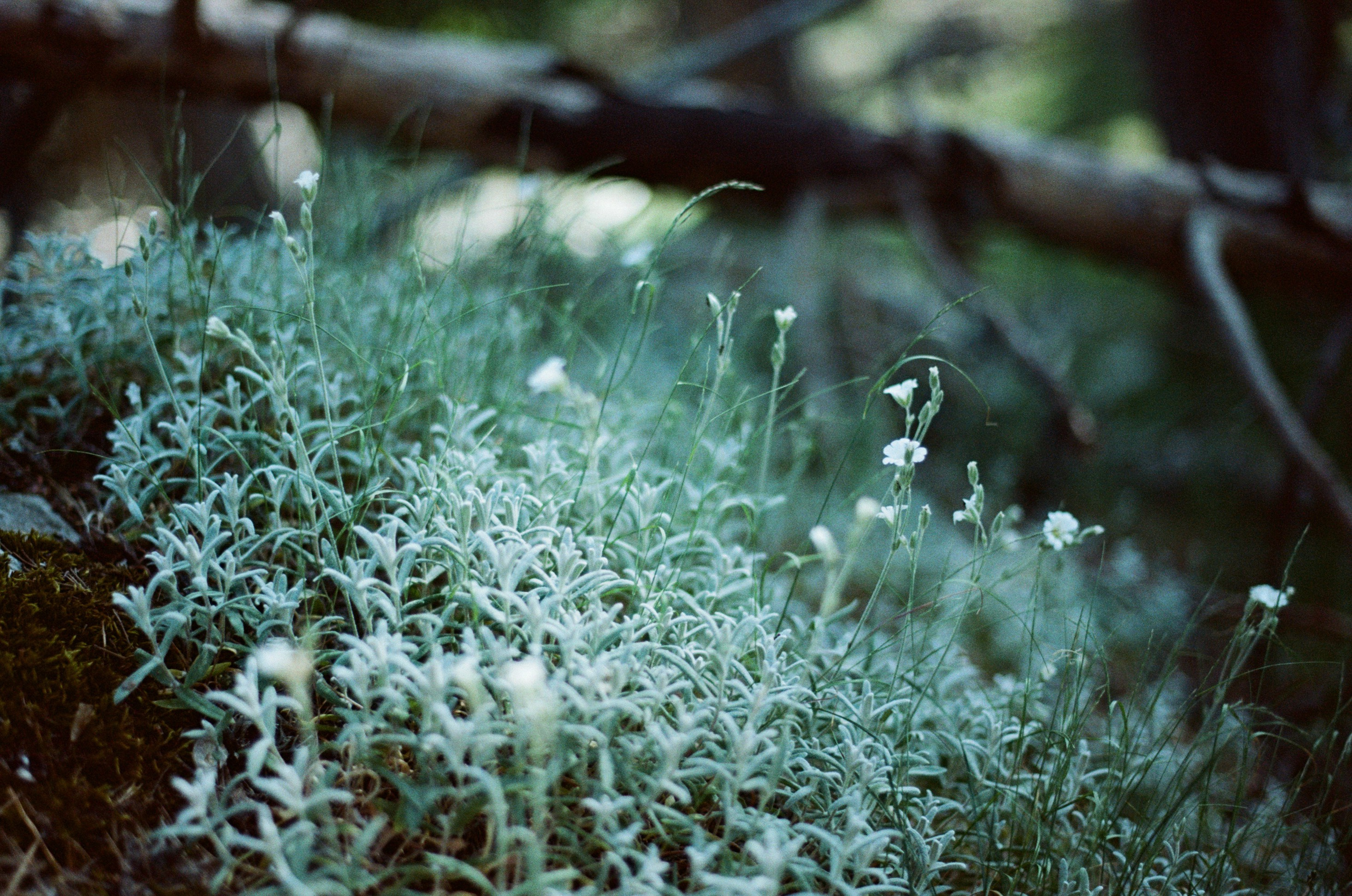 Kool-aid // ukraine, crimea II. EVER EXPOSED