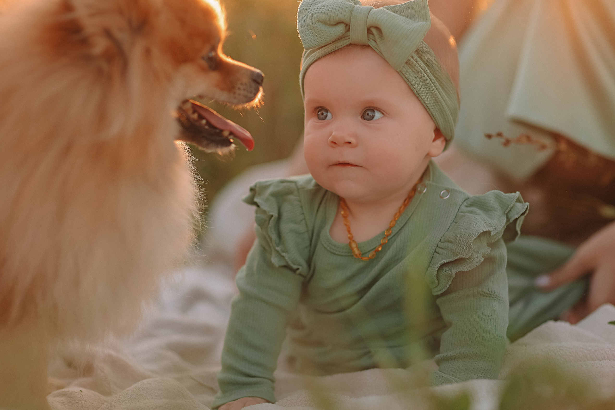 Закатное поле семейная. Семейный фотограф Тюмень, фотограф на роды Салмина Мария