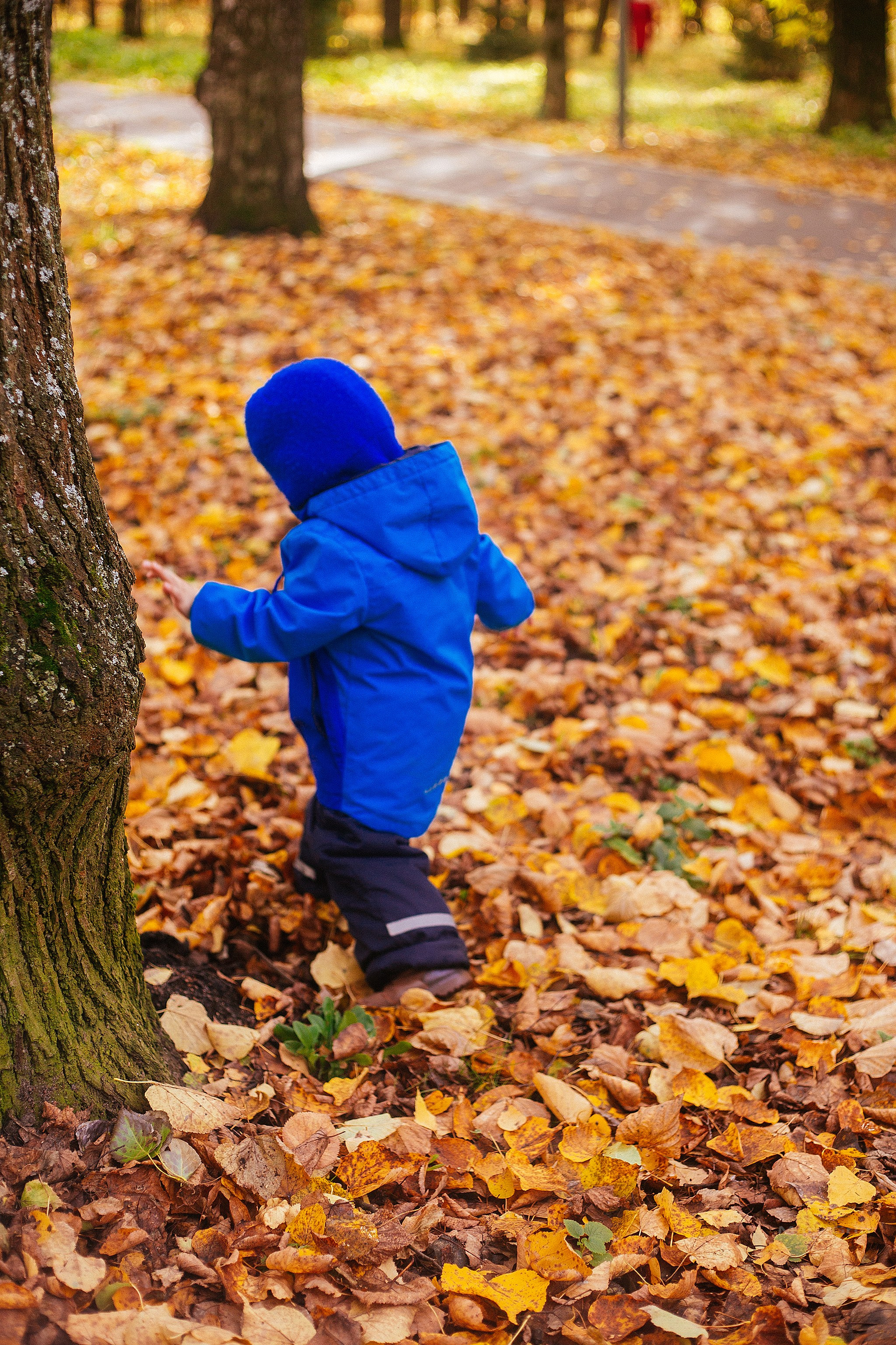 Осень в парке. Детский и семейный фотограф, фотограф мероприятий Нижний Новгород
