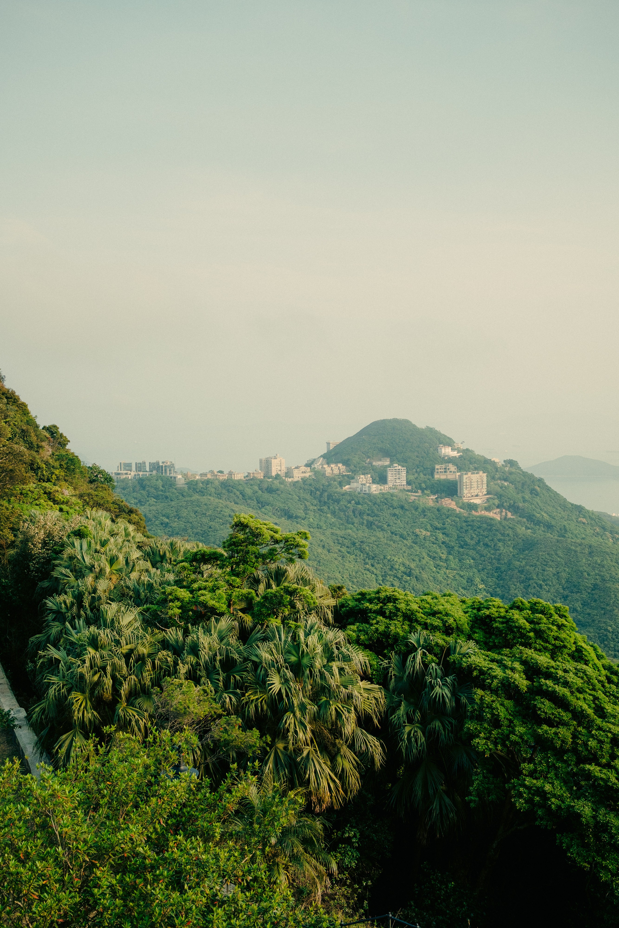 HongKong. Богдан Голубков — фотограф (notbogdang)
