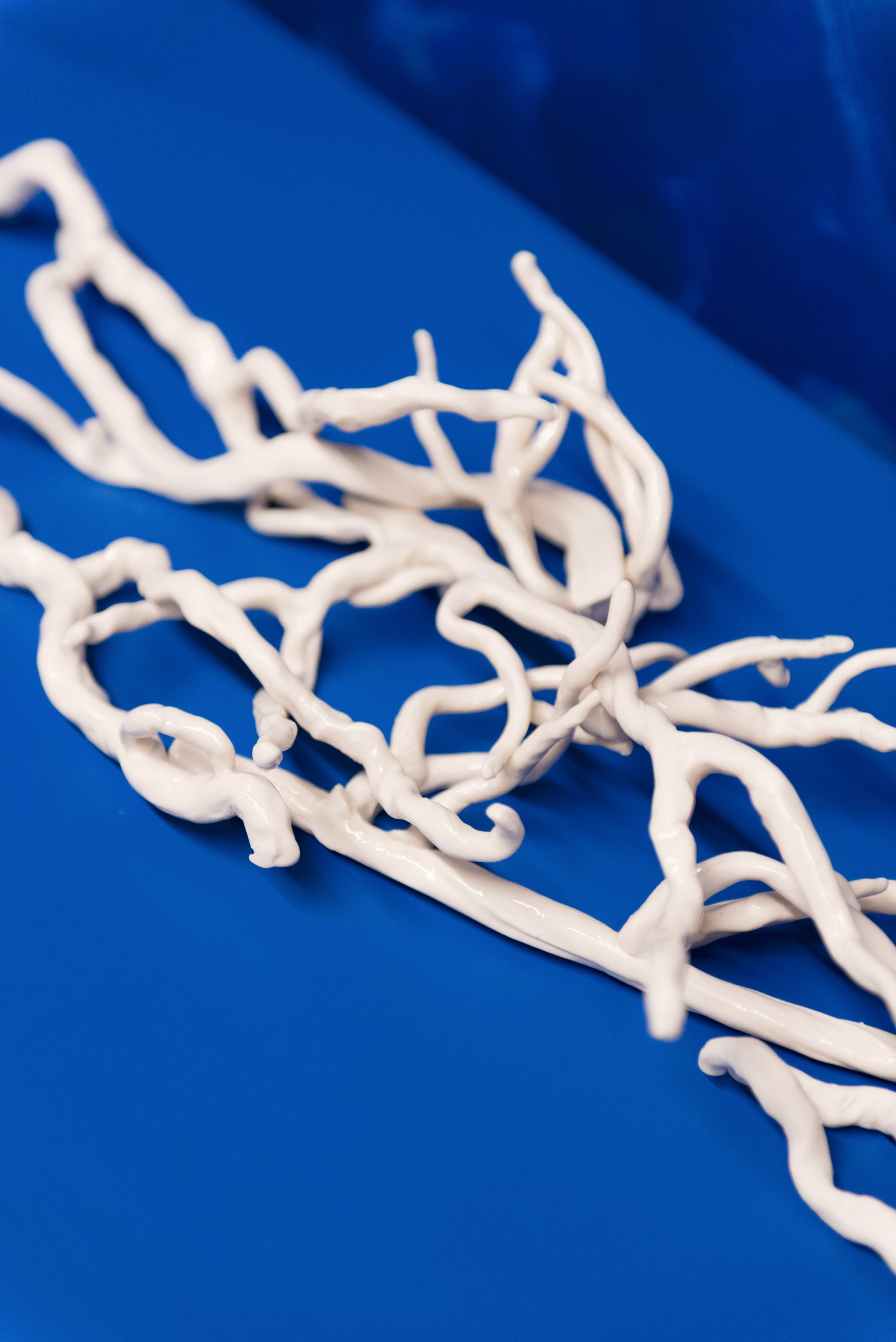 Выставки. Фотограф Руслан Хафизов