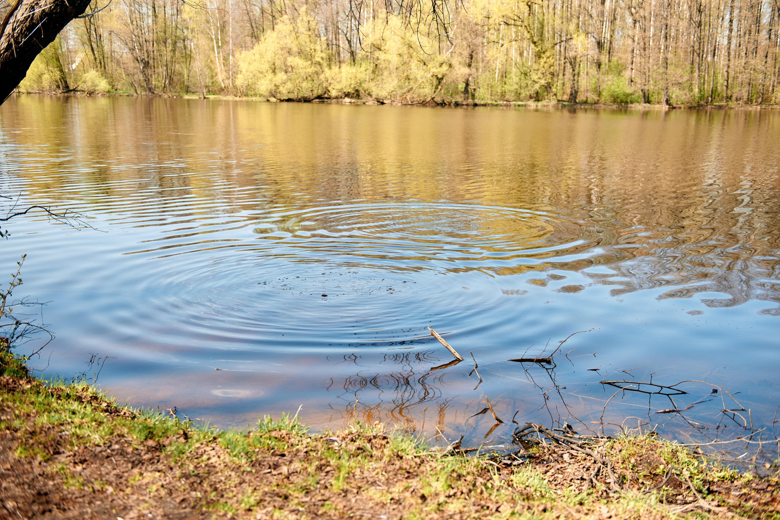 В & Я. Семейный и детский фотограф в г. Ногинске Ангелина Хасанова
