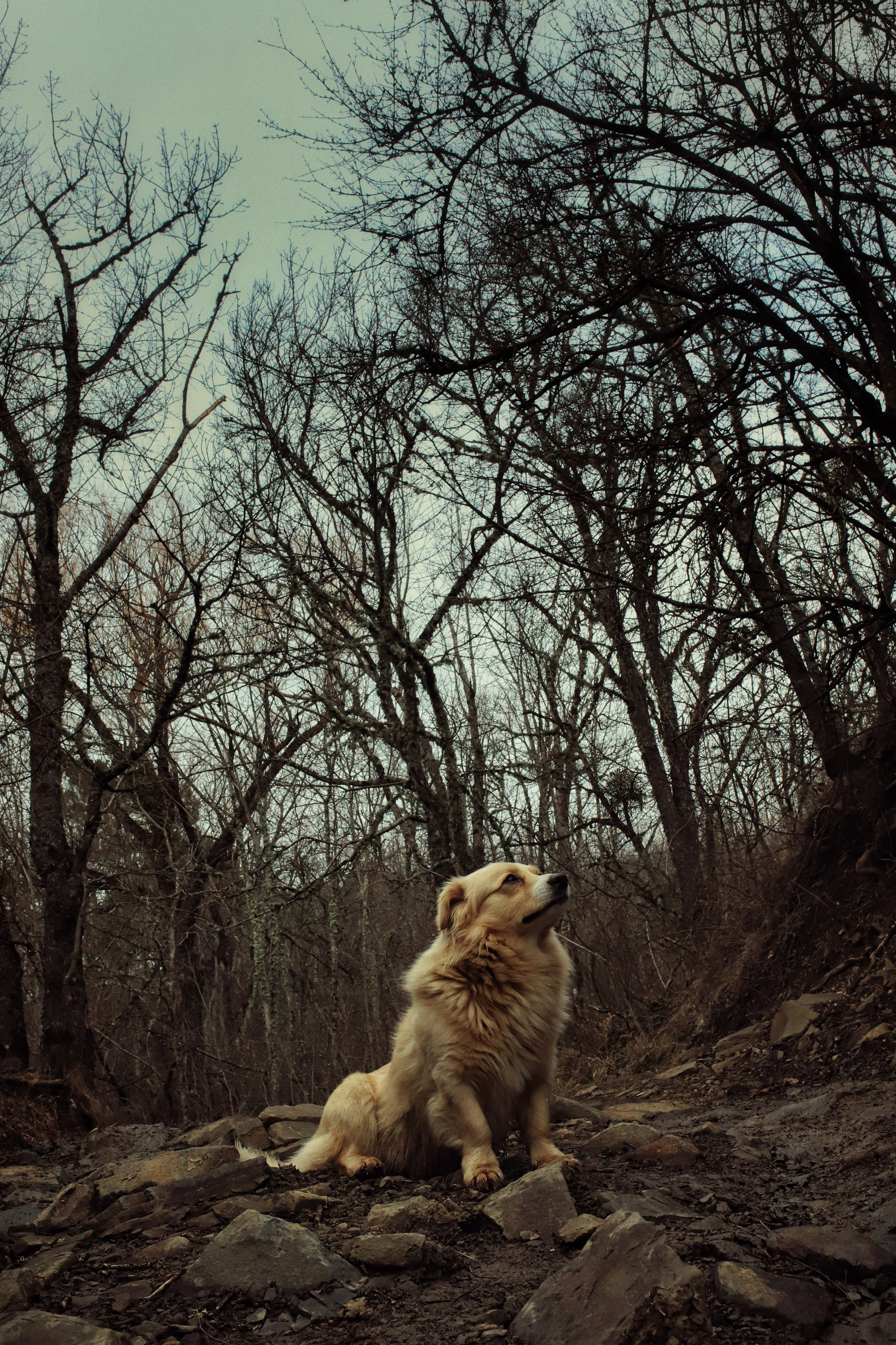 Бирюзовое озеро. Фотограф и видеограф в Санкт-Петербурге