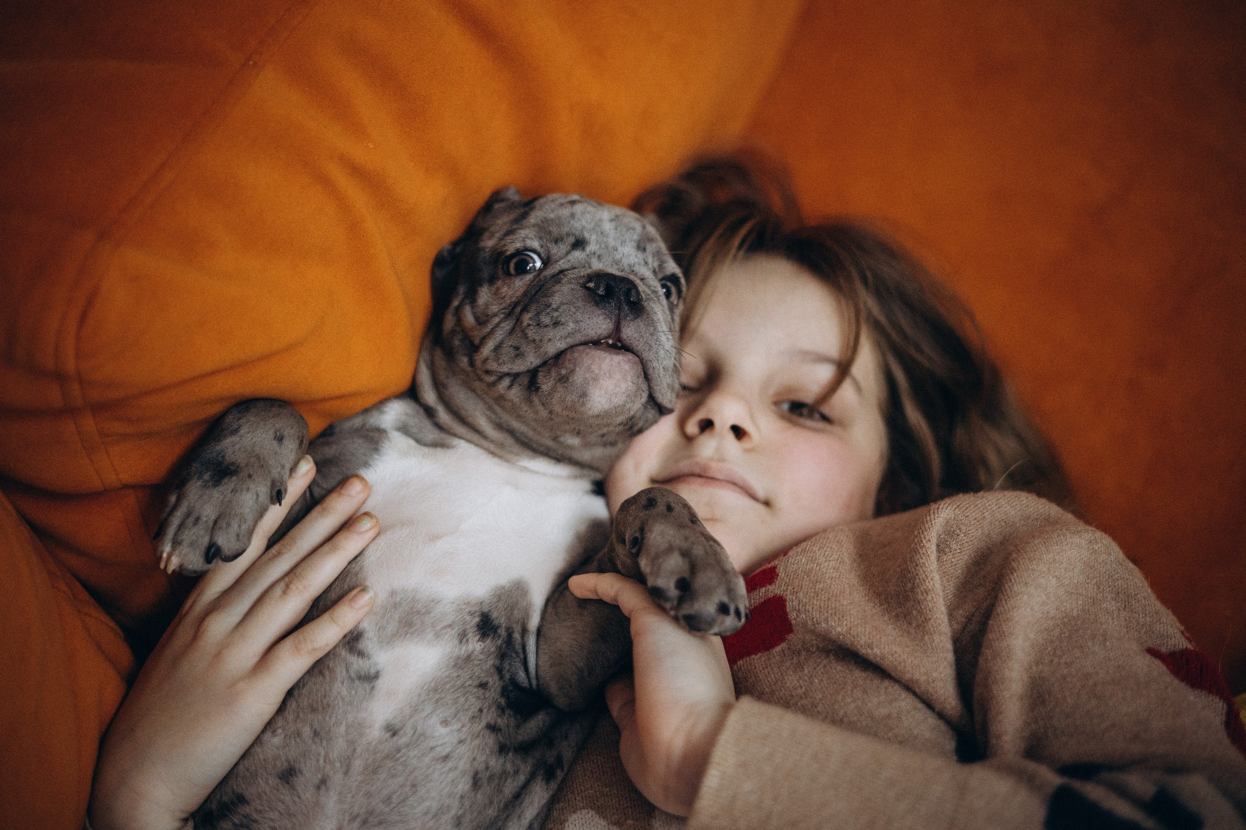 Семейная для Ксюши. Фотограф — Анималист | Санкт-Петербург