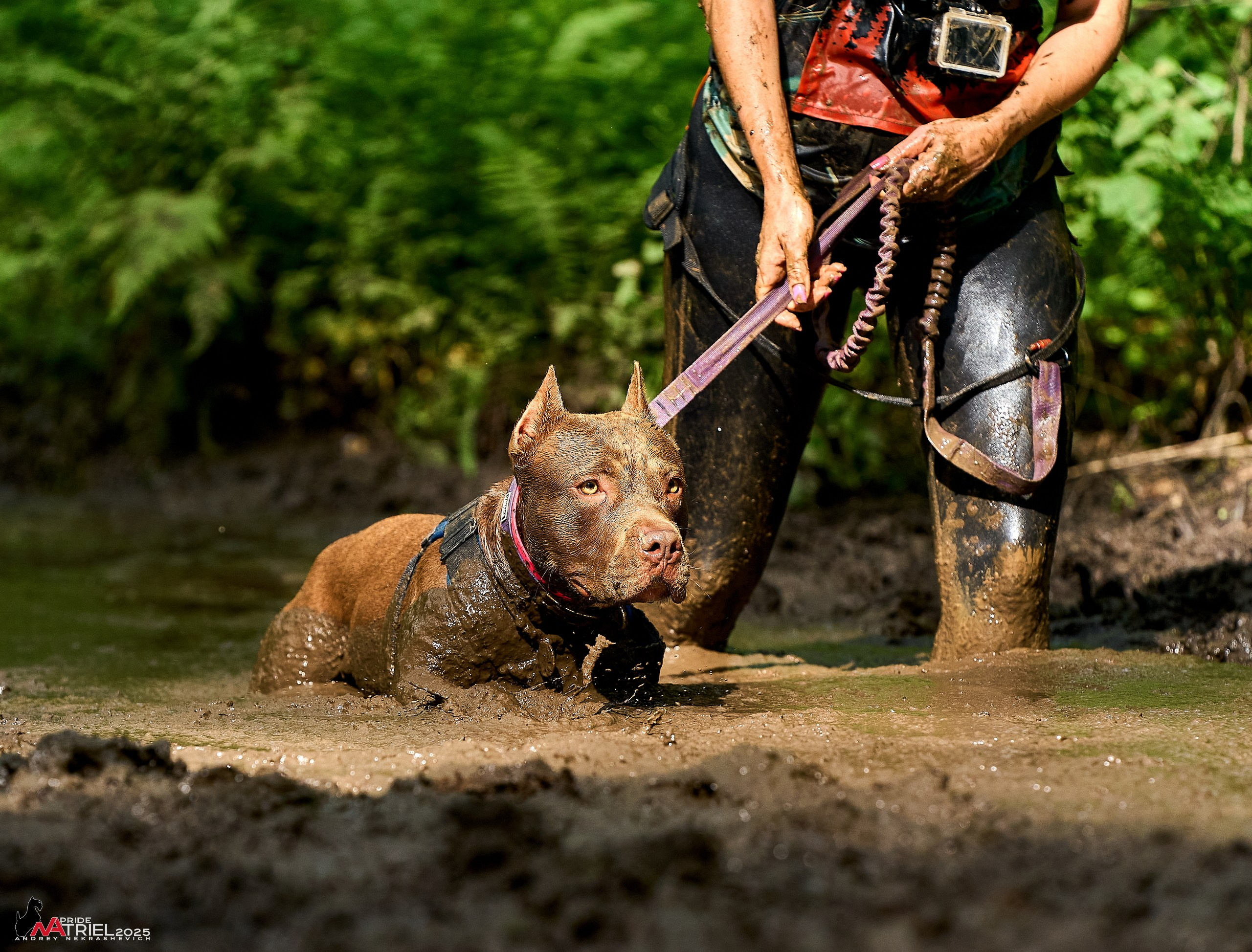 Russian Extreme Dog Trail — 2025