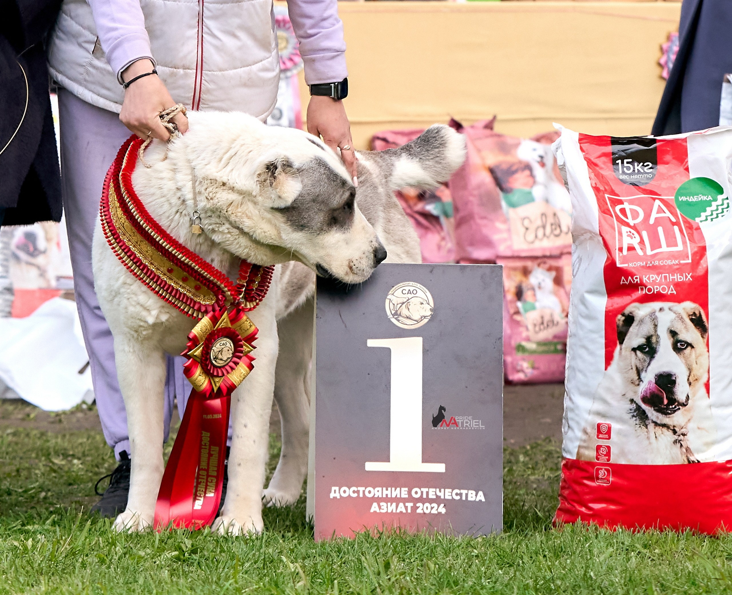 Призовые места — галерея NATRIEL