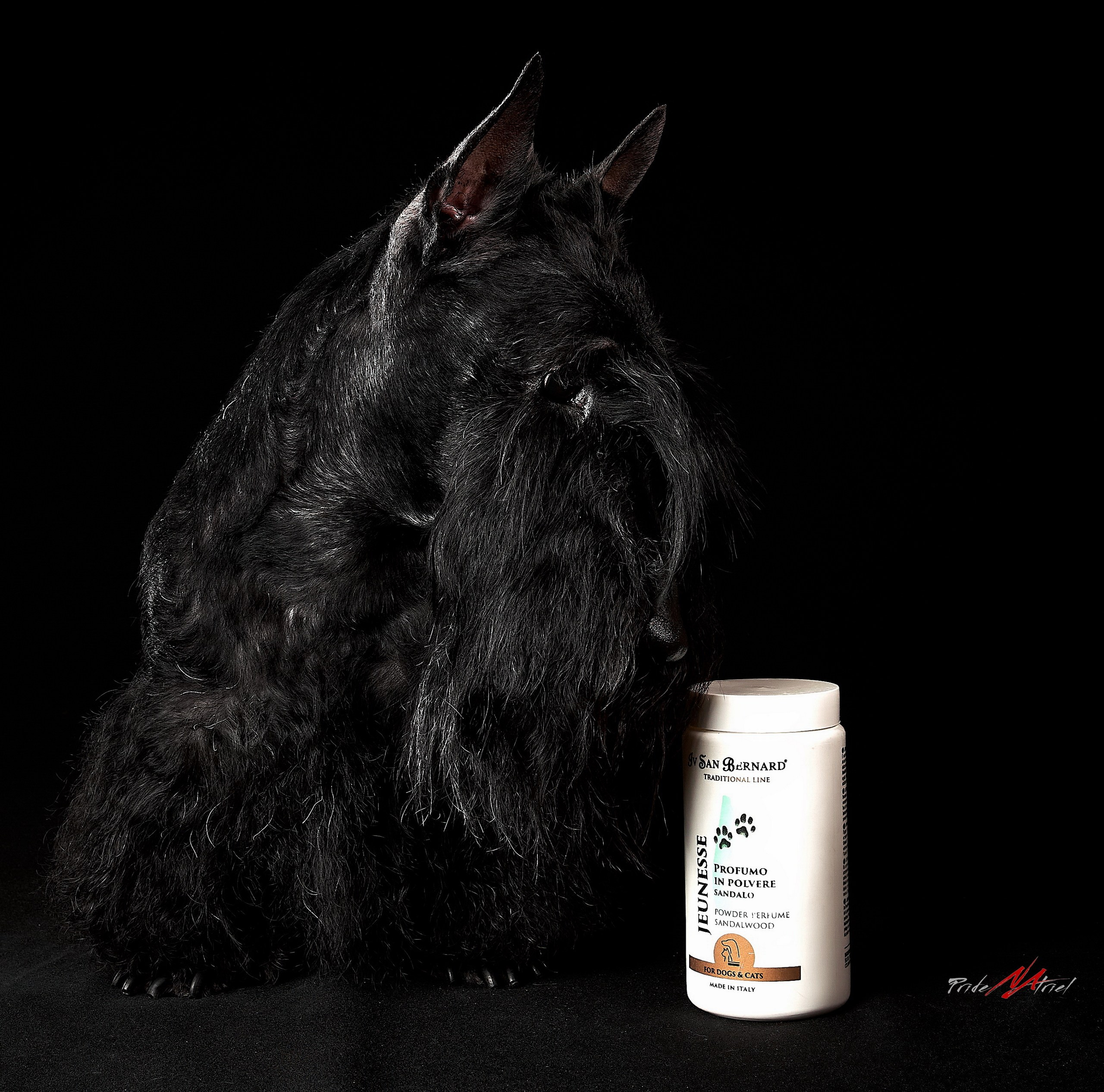 Реклама с животными — галерея NATRIEL