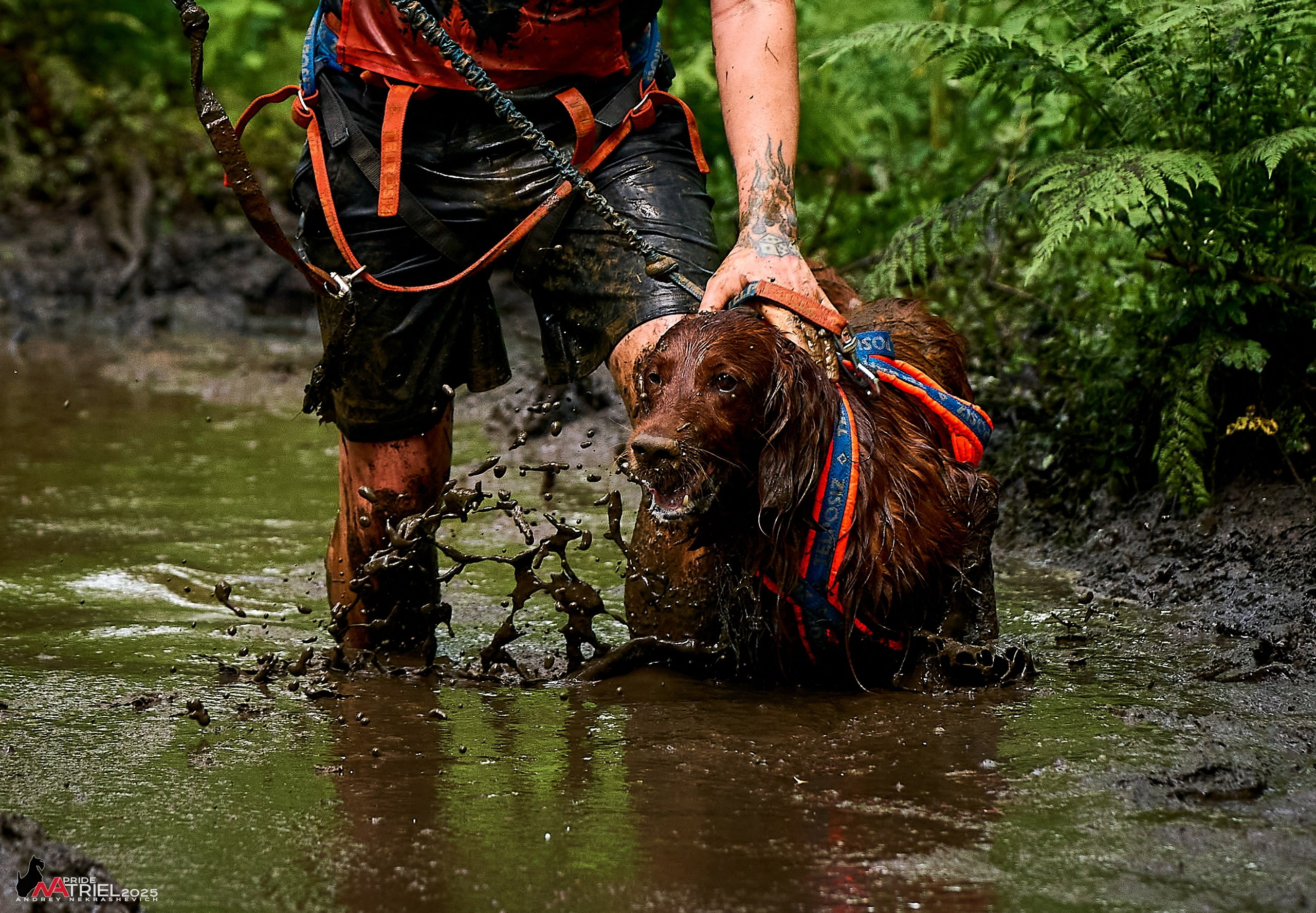 Russian Extreme Dog Trail — 2025