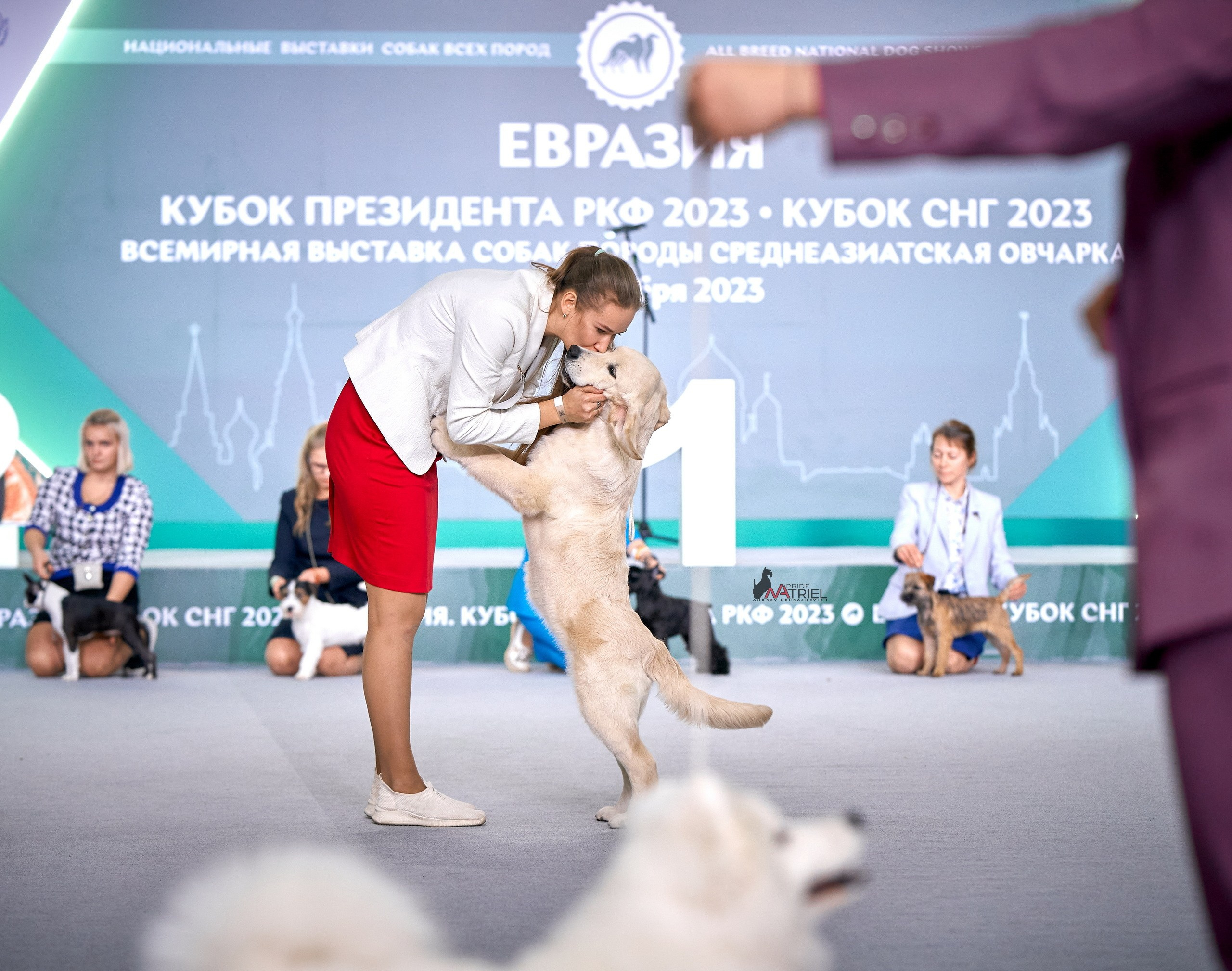 Призовые места — галерея NATRIEL