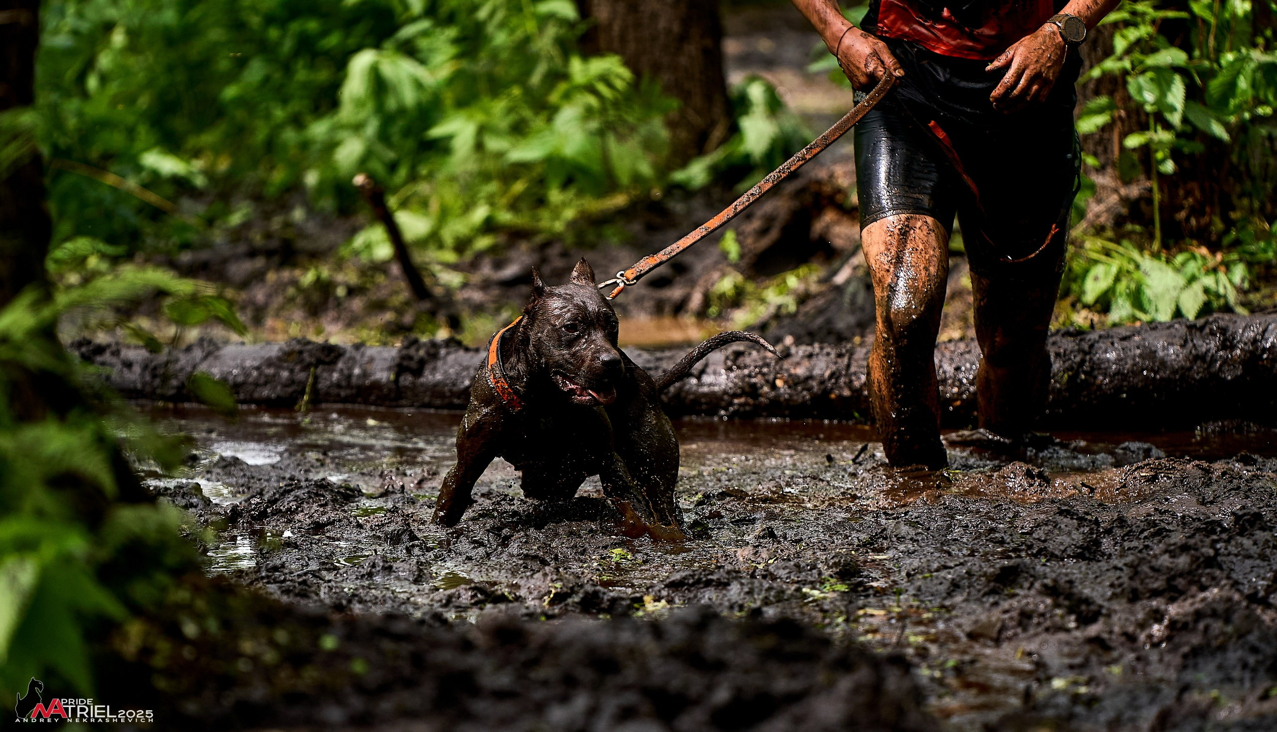Russian Extreme Dog Trail — 2025