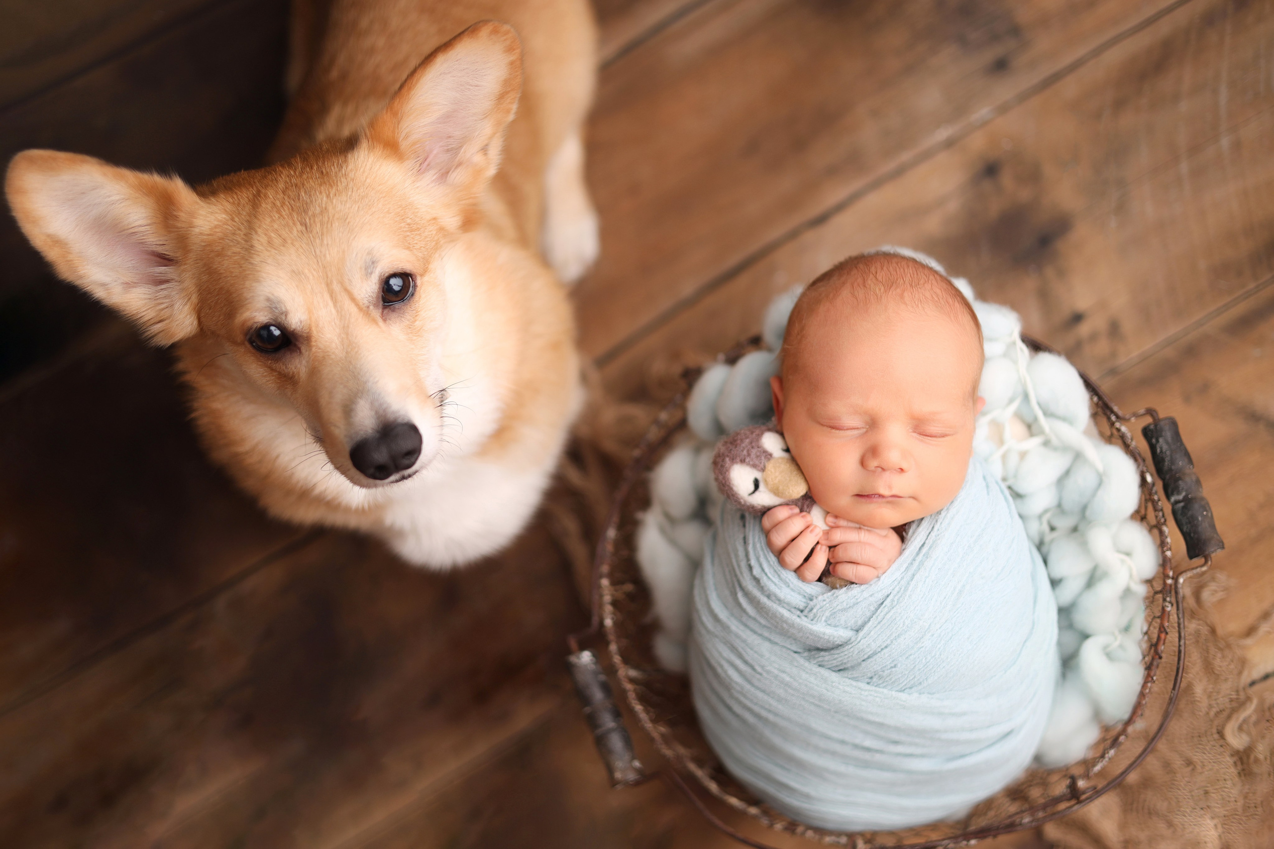 Ньюборн съемка Мишеньки. Ньюборн фотограф в Бутово Столярова Светлана. Фотограф новорожденных Москва. Ньюборн фотограф Москва