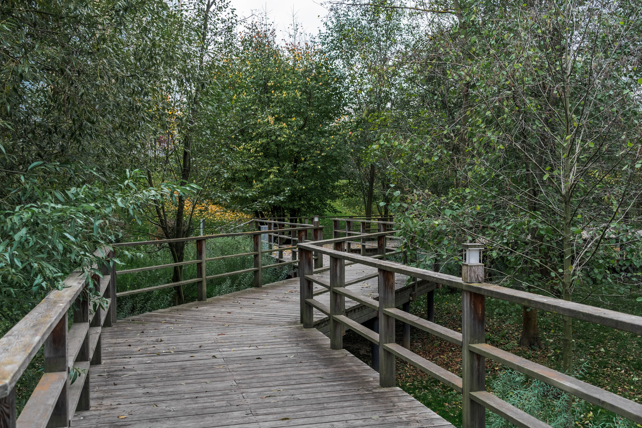 Skolkovo Park. Артамонов Александр | Архитектурный и ландшафтный фотограф
